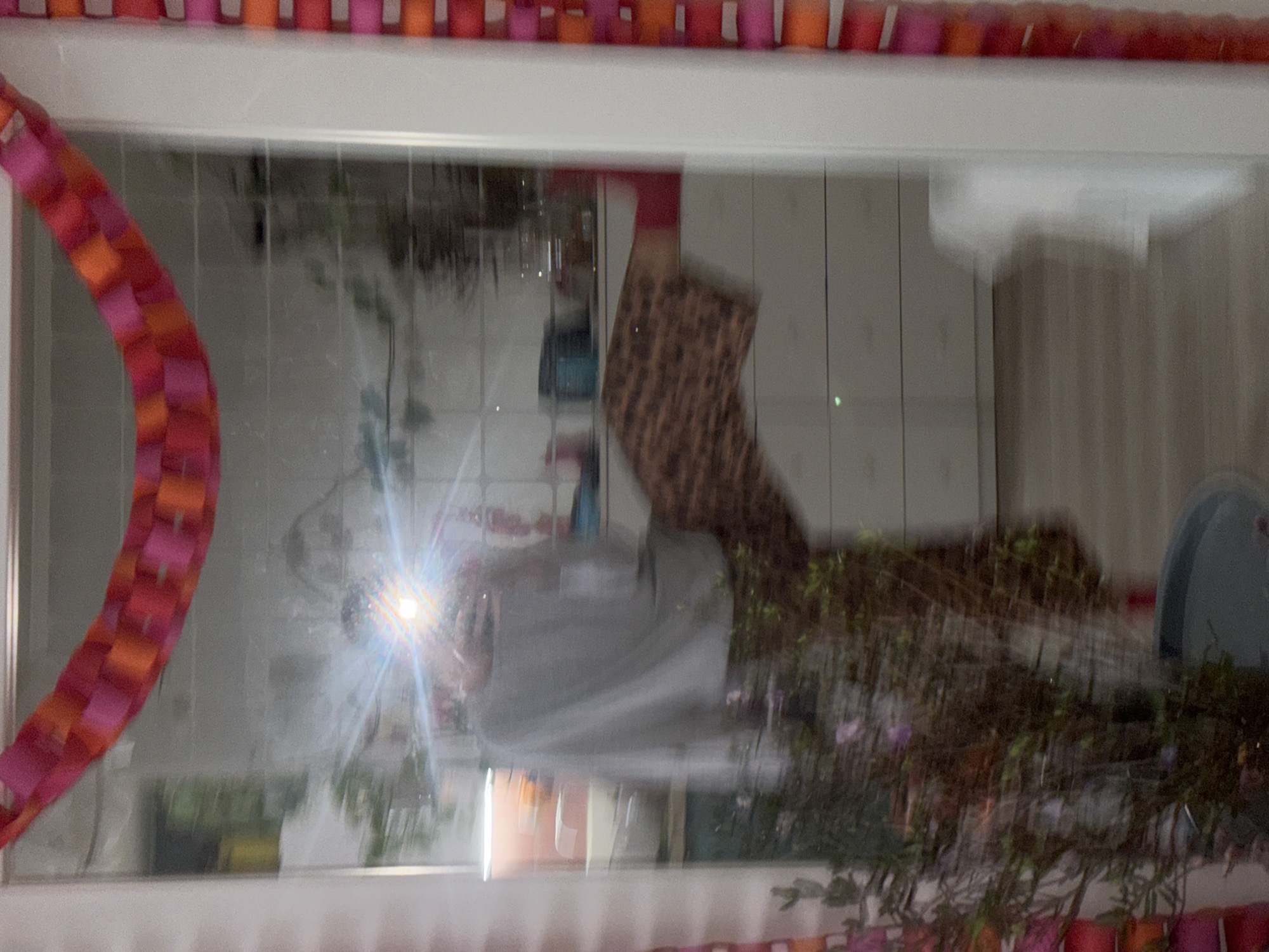 A window with a paper chain border reflects an indoor scene: a person wearing a spotted garment and red socks, kitchen cabinets, and a sink. A plant obscures part of the reflection. The location is unknown and cannot be derived from the image.