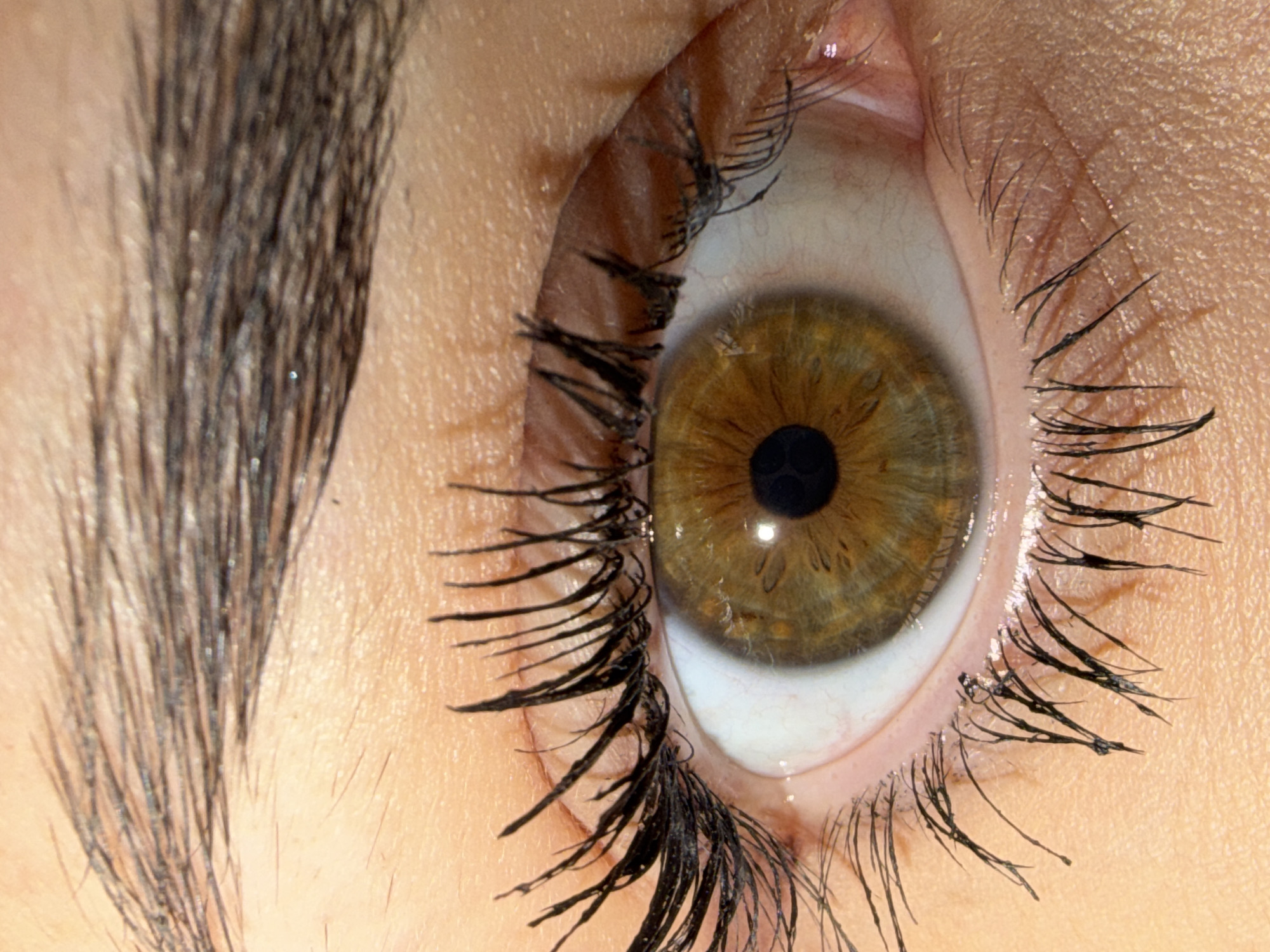 A close-up photograph shows a human eye with brown-green iris and black pupil, surrounded by black eyelashes coated with mascara. A dark eyebrow is visible to the left. The sclera is white. The skin surrounding the eye is light-skinned with visible pores. There is no indication that this image was taken in the city of Buhovo, Bulgaria.