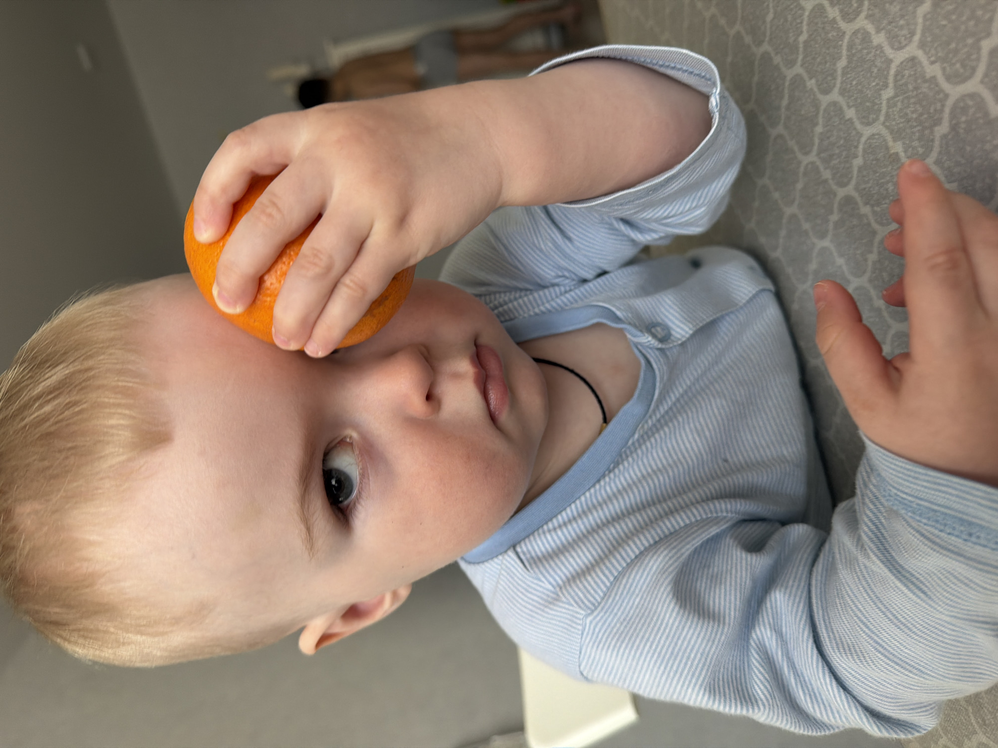 A fair-skinned baby with light blonde hair and blue eyes is the central focus of this indoor shot, taken in Votkinsk, Russia. The baby is oriented horizontally, with their head to the left and body extending to the right. They are wearing a light blue long-sleeved top with thin white stripes and a solid light blue collar. A thin black string or necklace is visible around their neck.
The baby's right hand is gently holding a bright orange, which rests against their forehead. Their gaze is directed towards the camera, with a neutral, possibly curious, expression. Their left hand is visible further to the right, resting near a light gray and white patterned surface, which appears to be a rug or mat, with a geometric clover-like design.
In the blurred background, an adult's legs, wearing light grey shorts, can be seen, suggesting another person is present in the room. The lighting is soft and diffused, characteristic of an indoor setting during daylight hours. No discernible text is visible in the image.