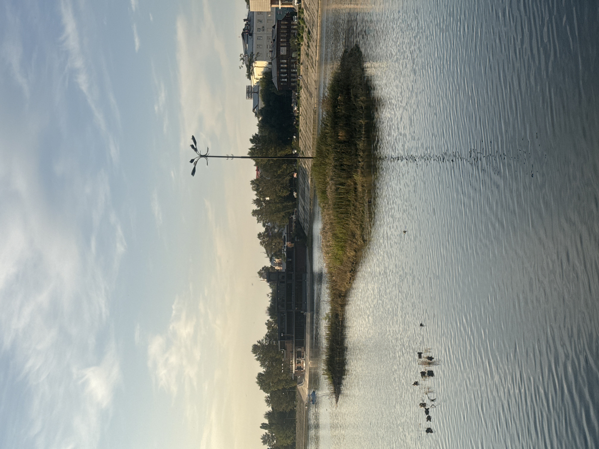The image depicts a serene waterfront scene with a small, grass-covered island in the foreground. Several ducks are visible swimming in the calm water. A tall, multi-headed lamppost stands on the island, casting a reflection on the water's surface. In the background, the city skyline features a modern building with large glass windows, a traditional wooden structure, and other urban buildings, all nestled amongst lush green trees. The sky above is a soft blue with wispy white clouds. This location is identified as the Angara River embankment in Irkutsk, Russia.