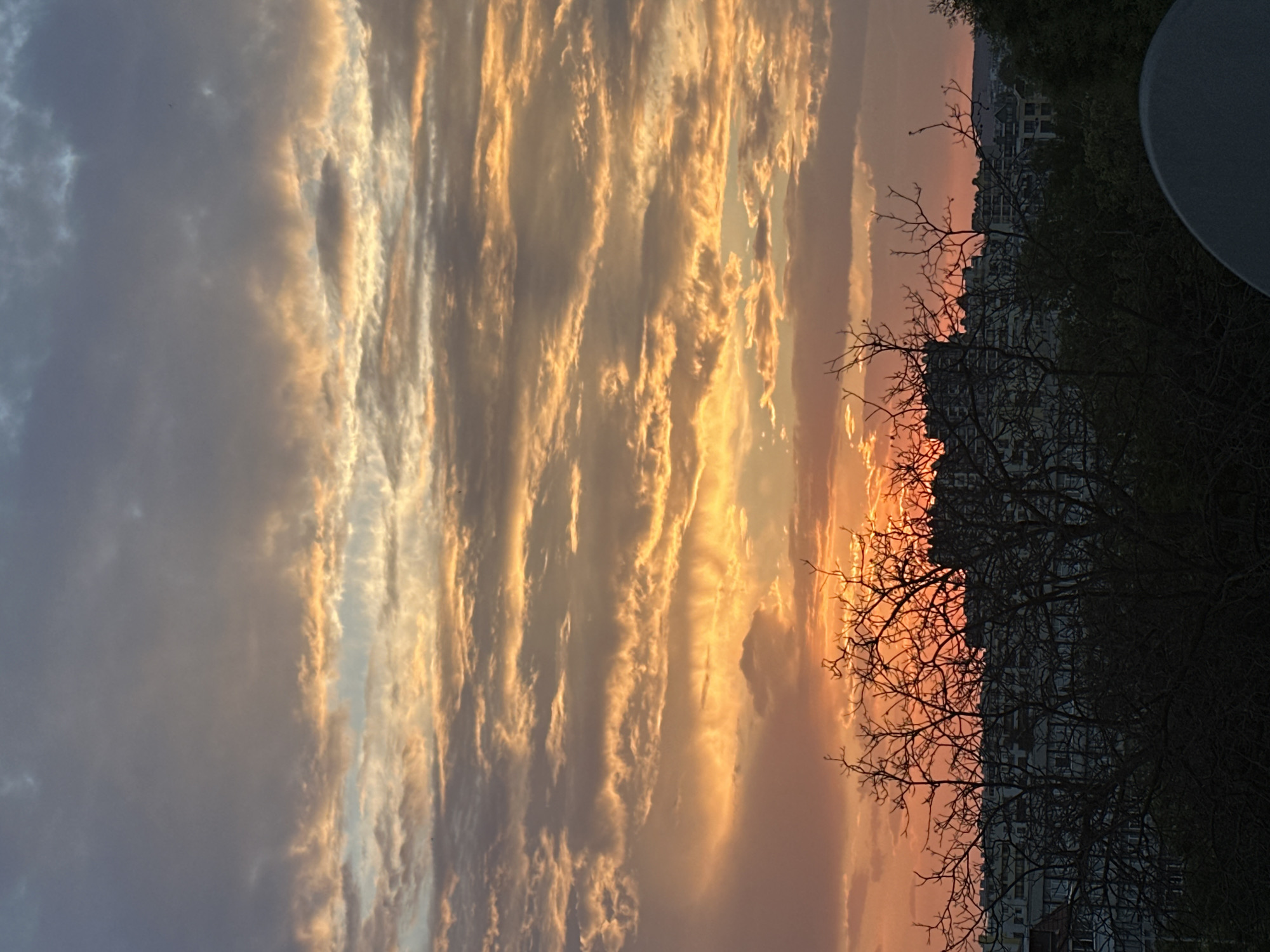 The image captures a sunset over the city of Varna, Bulgaria. The sky is filled with dramatic clouds painted in hues of orange, yellow, and gray, indicating the sun is low on the horizon. Silhouetted against the vibrant sky are the bare branches of trees in the foreground, and behind them, the rooftops and buildings of the city are visible. The architecture suggests an urban environment, likely residential or mixed-use. The overall scene is one of a tranquil evening in a coastal city.