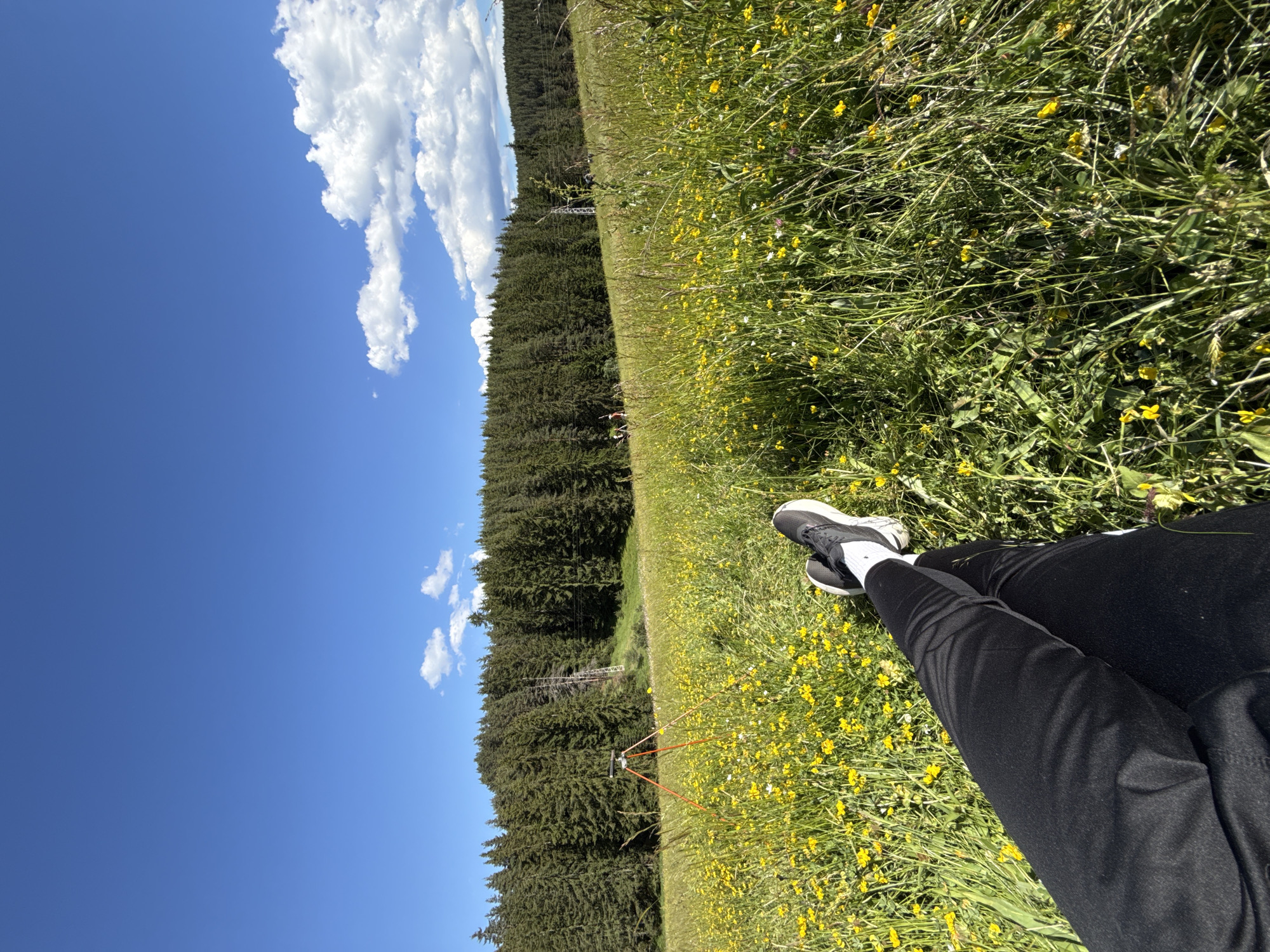 The image depicts a person's legs and feet, clad in black leggings and black and white sneakers, crossed and resting in a field of tall green grass dotted with small yellow wildflowers. The perspective is from a low angle, looking upwards. In the mid-ground, a tripod with an orange base and a device on top is visible amongst the wildflowers. Further in the background, a dense forest of evergreen trees lines a hillside under a bright blue sky with scattered white clouds. The location is Yundola, Bulgaria. The scene appears peaceful and natural, with the person seemingly relaxing outdoors.