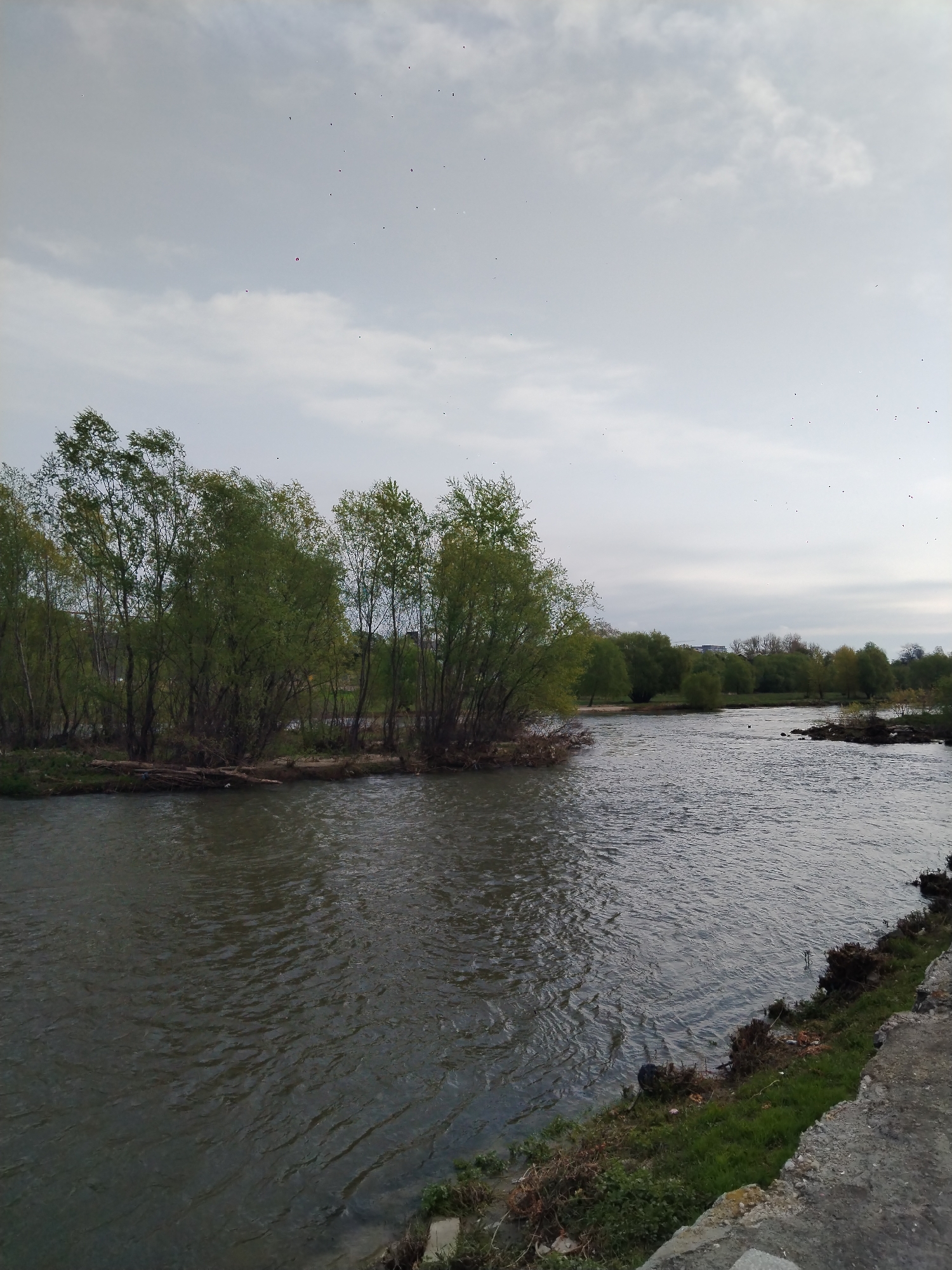 The image captures a river scene in Plovdiv, Bulgaria. The water flows with ripples and appears dark in color. Lush green trees line the riverbank, adding a natural element to the scene. A cloudy sky fills the background, suggesting an overcast day. Along the riverbank, there is concrete and grass present. The view overlooks a small island covered by trees in the middle of the river.
