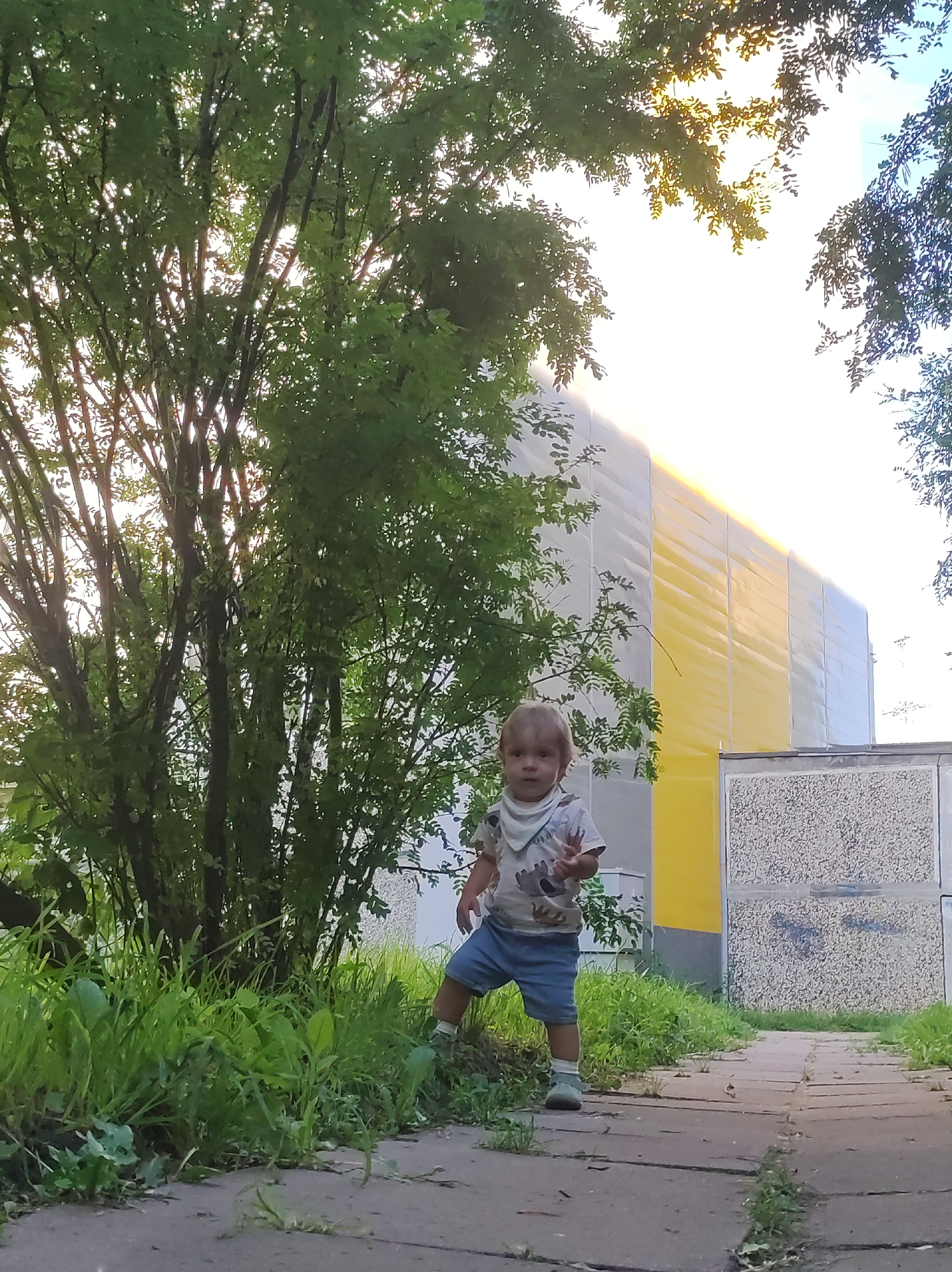 In Chaikovsky, Russia, a young child stands on a paved walkway amidst lush green foliage. The child, wearing a light-colored t-shirt with a pattern, blue shorts, and a bib, is positioned near a large tree with dense green leaves. Behind the child and the tree, a building with a modern facade is visible. The building features a section covered in alternating yellow and grey panels, with another section featuring a textured grey material. The sky above is bright and appears to be either overcast or heavily diffused sunlight. The walkway is made of irregular concrete slabs with patches of grass growing between them, suggesting an outdoor urban environment, possibly a park or residential area.
