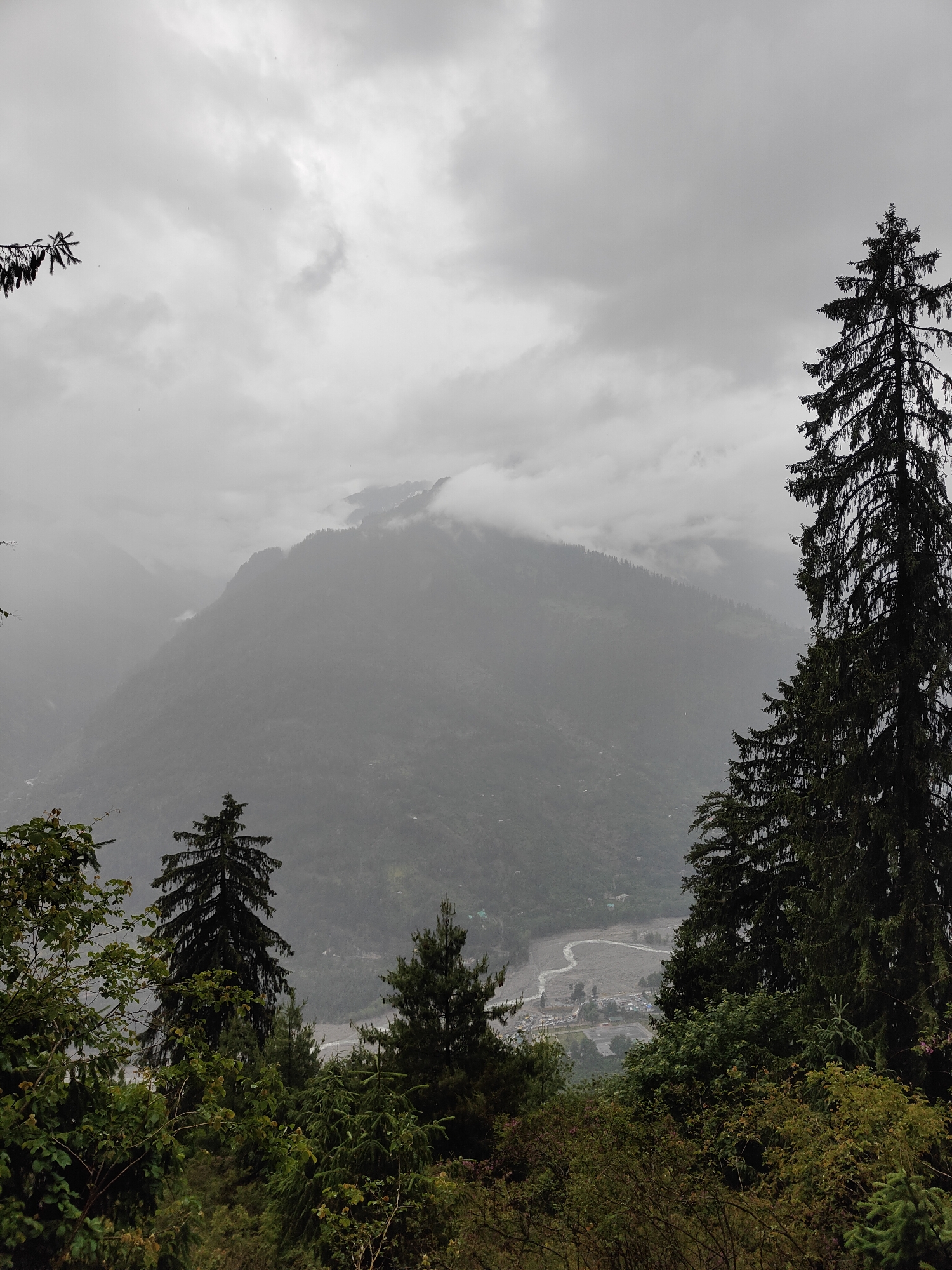 The image captures a misty mountain landscape with a winding river valley below. Dominating the foreground are several tall, dark green coniferous trees, some of which are silhouetted against the overcast sky. The middle ground is occupied by a large, densely forested mountain, partially obscured by fog and clouds, with its peak shrouded in mist. In the distance, the valley reveals a settlement with structures and a light-colored, meandering river. The sky is a uniform gray, indicating a cloudy or overcast day. The overall atmosphere is somber and serene, characteristic of a mountain region during inclement weather. This scene is likely located in or around Vashisht, India, given the distinctive coniferous forests and mountainous terrain typical of the Himachal Pradesh region. There are no people visible in the image.