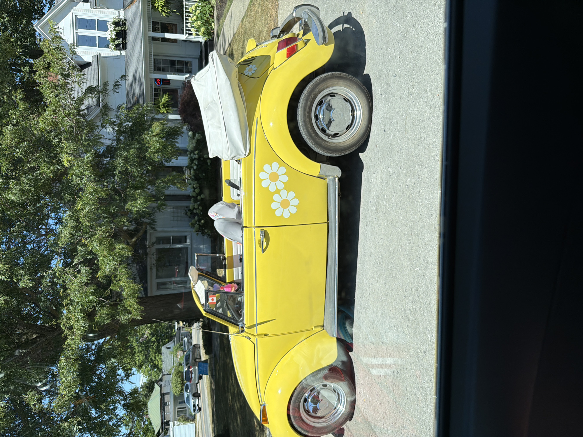 A bright yellow, convertible Volkswagen Beetle is parked on a residential street in Fort Erie, Canada. The car is decorated with two white daisy decals on its rear fender and side. The top of the car is partially up, and a white cover is draped over the rear section. Inside the car, two stuffed animals are visible, one gray and one pink, and a Canadian flag hangs from the rearview mirror. The car is parked in front of a white house with a porch and a window box filled with flowers. A large tree with green foliage shades the scene. Other houses and trees are visible in the background, along with parked cars. The street is asphalt, and the sidewalk is paved. The sun is shining, casting shadows on the ground.