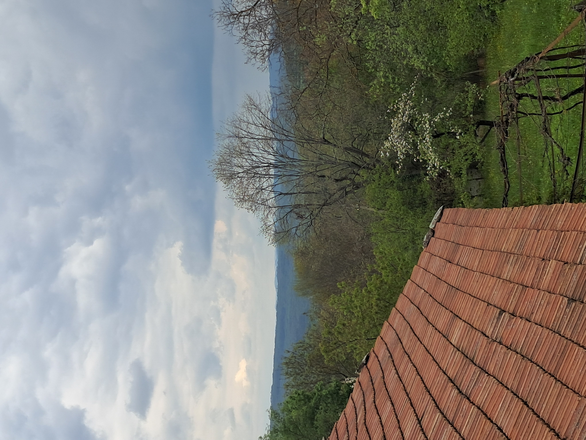 The image is an angled view from what appears to be a rooftop in Seykovtsi, Bulgaria. The foreground is dominated by an orange tiled roof. Beyond the roof, there is a mix of greenery, including trees with some blooming white flowers. The background features a mountainous landscape under a cloudy sky.