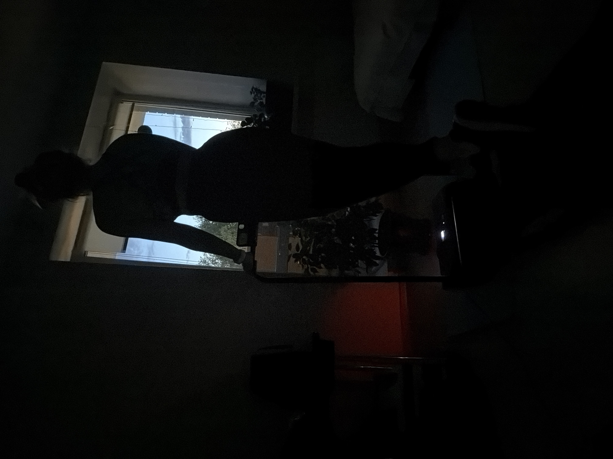This image, taken in Izhevsk, Russia, depicts the silhouette of a person, likely female, standing with their back towards the viewer and facing a large, brightly lit window. The image appears rotated 90 degrees counter-clockwise from its natural orientation. The person's form-fitting attire and hair, which seems to be pulled back, are visible in silhouette against the light.
Through the window, a clear daytime sky and green foliage, likely trees or bushes, are visible, indicating bright outdoor conditions. The strong backlighting from the window creates a dramatic and high-contrast scene, rendering the room's interior and the person's features in deep shadow.
A notable detail is the reflection of a hand holding a smartphone, visible on what appears to be a mirror or a glossy surface in front of the person. This suggests the individual is taking a mirror selfie or posing while the photo is being captured. The rest of the room is very dark, with only vague shapes of what might be furniture or plants discernible in the underexposed areas. There is a faint hint of an orange or red surface towards the right side of the dark room. No text is visible in the image.