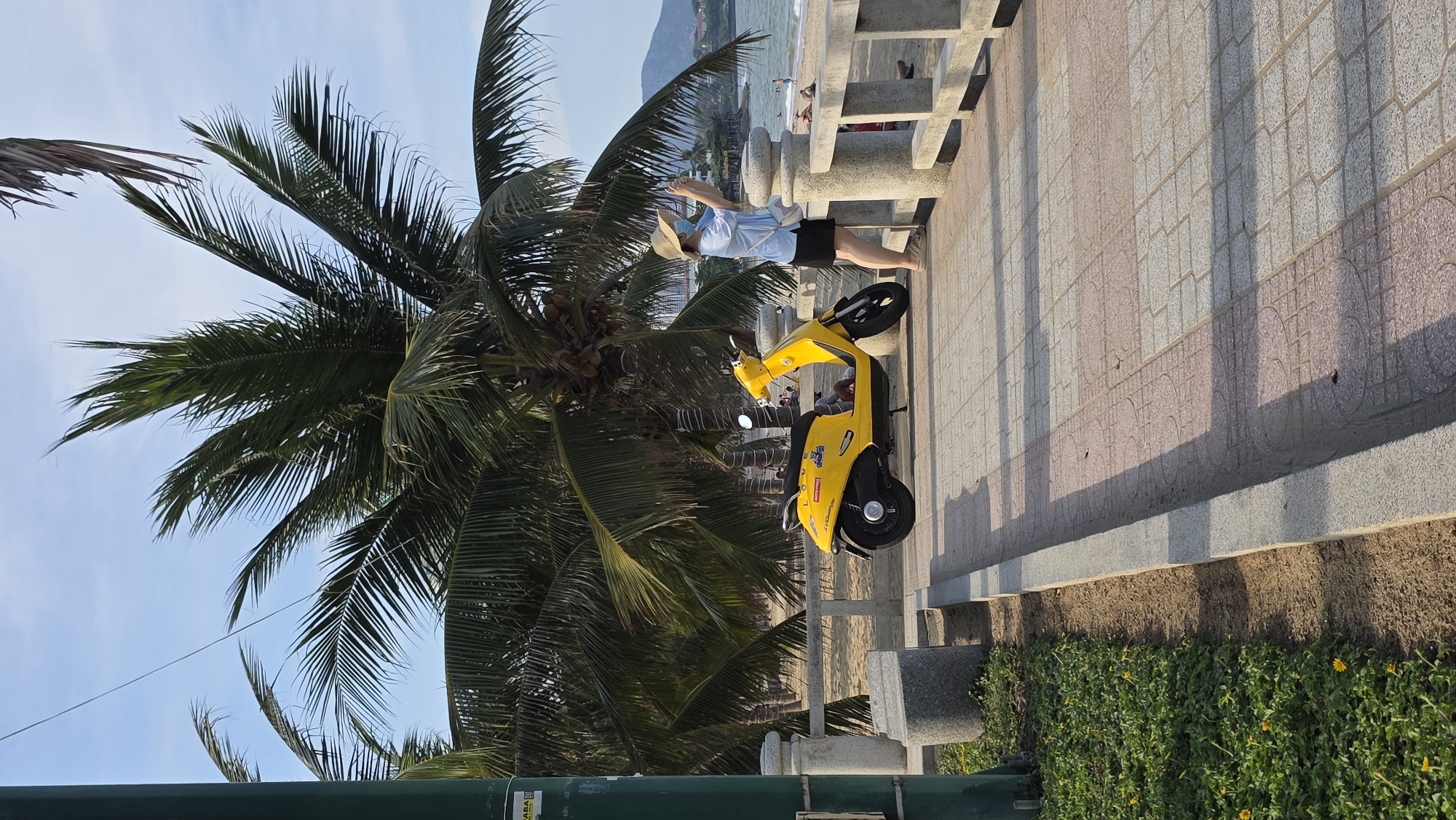 A person stands near a yellow scooter and a palm tree on a tiled promenade. The scene is located on the waterfront in Nha Trang, Vietnam. The person is wearing a light-colored hat, a blue shirt, and dark shorts. They are standing on a tiled surface with a low concrete barrier separating the promenade from the beach. In the background, the beach and ocean are visible, with people and buildings along the coast. To the left of the person, a large palm tree with coconuts is visible. Below the tiled surface, there is a section of greenery.