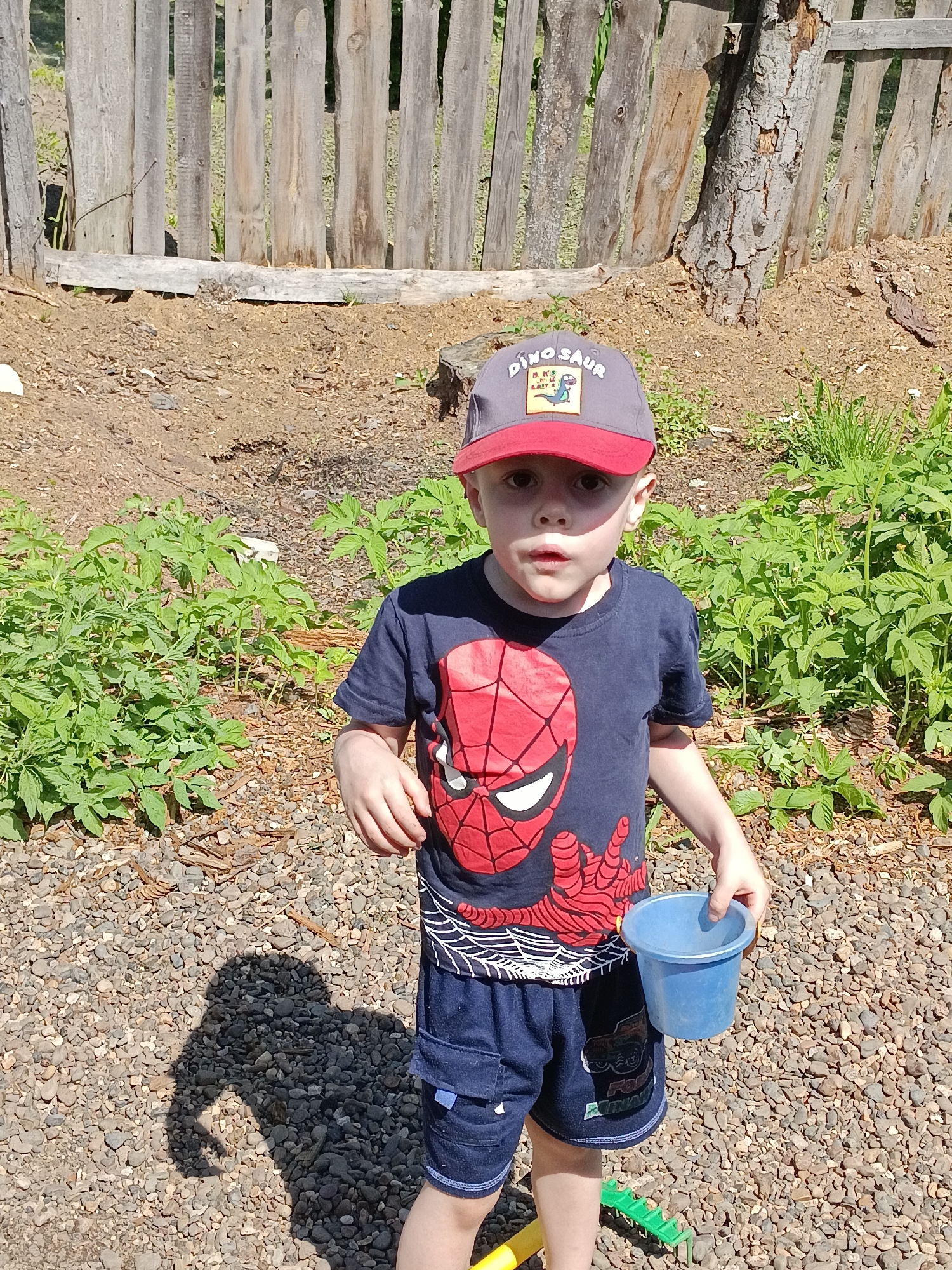 A young child stands in a yard in Chaikovsky, Russia. The child wears a gray and red baseball cap with a dinosaur design, a navy blue t-shirt with a Spiderman design, and navy blue shorts. The child holds a blue plastic bucket. The ground is covered in small pebbles. In the background is a wooden fence and some green plants. A tree trunk is visible to the right of the fence. The child's shadow is cast on the pebbles.
