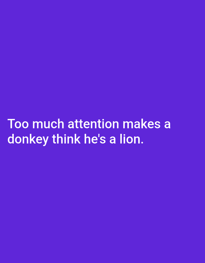 The image is a plain, vertically oriented, solid purple background. Centered on the lower half of the image, in white sans-serif text, is the quote: "Too much attention makes a donkey think he's a lion." There is no discernible location in Dologan, Indonesia, or any people, subjects, objects, or actions depicted in the image.