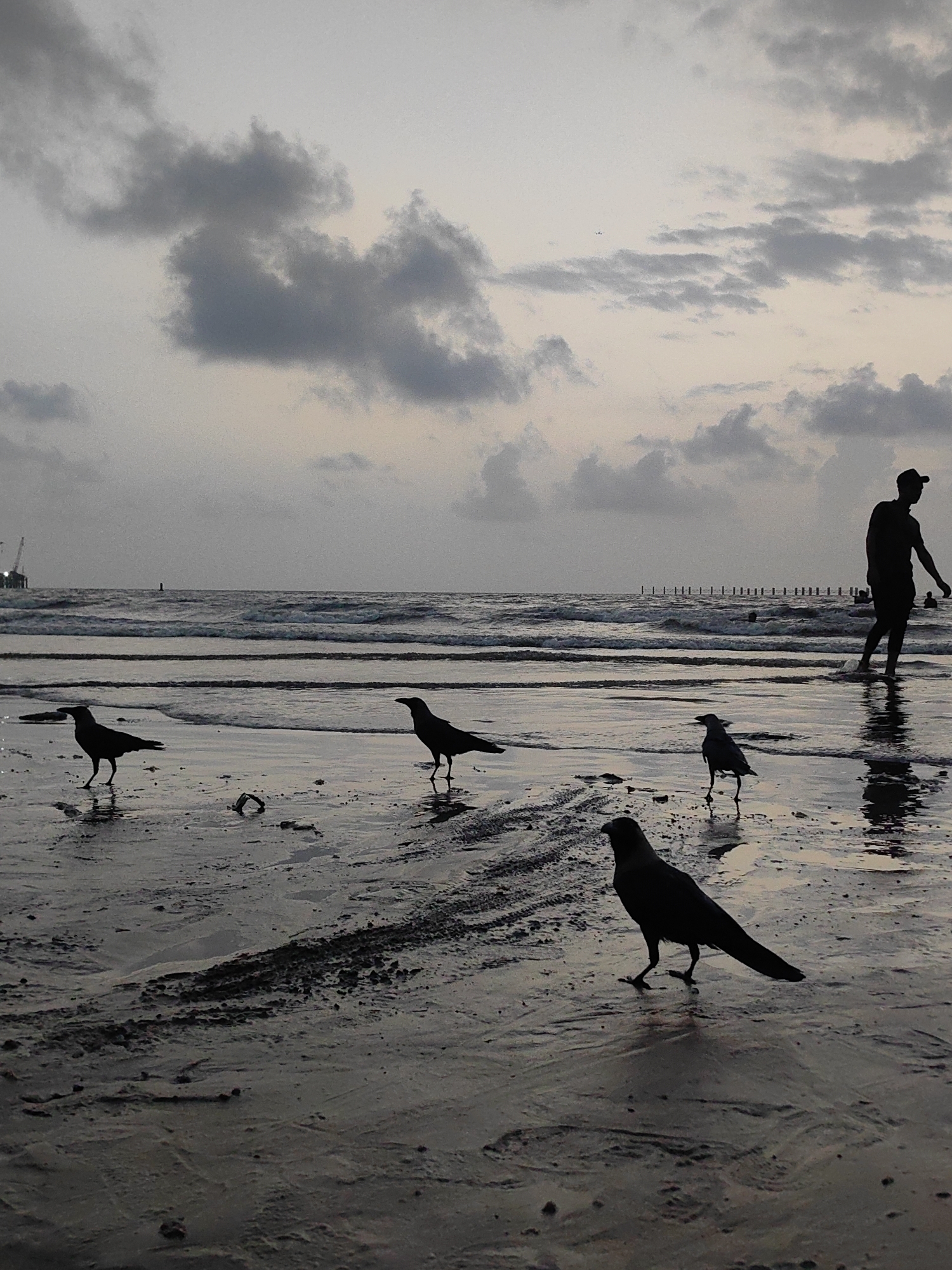 The image depicts a serene dusk scene at Juhu Beach in Mumbai, India. In the foreground, several crows are silhouetted against the wet sand, some appearing to peck at the ground. The tide is out, leaving a reflective surface on the beach that mirrors the dusky sky. In the middle ground, the ocean waves gently roll towards the shore. Further in the distance, a lone figure of a person is visible walking towards the water, also silhouetted. There are also some structures in the far distance, possibly piers or offshore platforms. The sky is filled with dramatic, grey clouds, suggesting either an approaching storm or the aftermath of one. The overall atmosphere is tranquil and somewhat melancholic, characteristic of a fading day at the popular Mumbai beach.