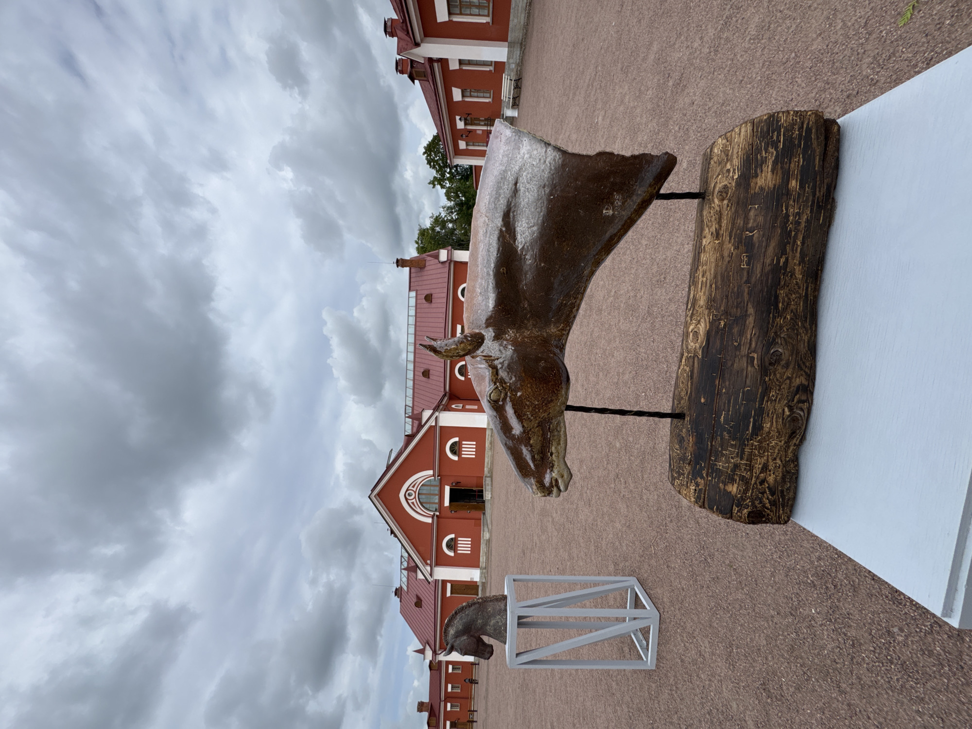 The image depicts a courtyard in front of a red building with a white trim, a common architectural style found in Pushkin, Russia. In the foreground, two horse head sculptures are displayed on pedestals. The sculpture on the right is a large, metallic horse head mounted on a rustic wooden base, which is itself placed on a white rectangular platform. The horse head is angled to the left, with its mouth slightly open. The sculpture on the left, also a horse head, is smaller and appears to be made of stone or a similar material. It is displayed on a minimalist grey geometric stand. The courtyard is covered in a reddish-brown gravel. The sky is overcast with dramatic, grey clouds. The building behind the sculptures is a long, red structure with a red roof and arched windows. The scene suggests an outdoor exhibition or a permanent art installation in a historical setting.