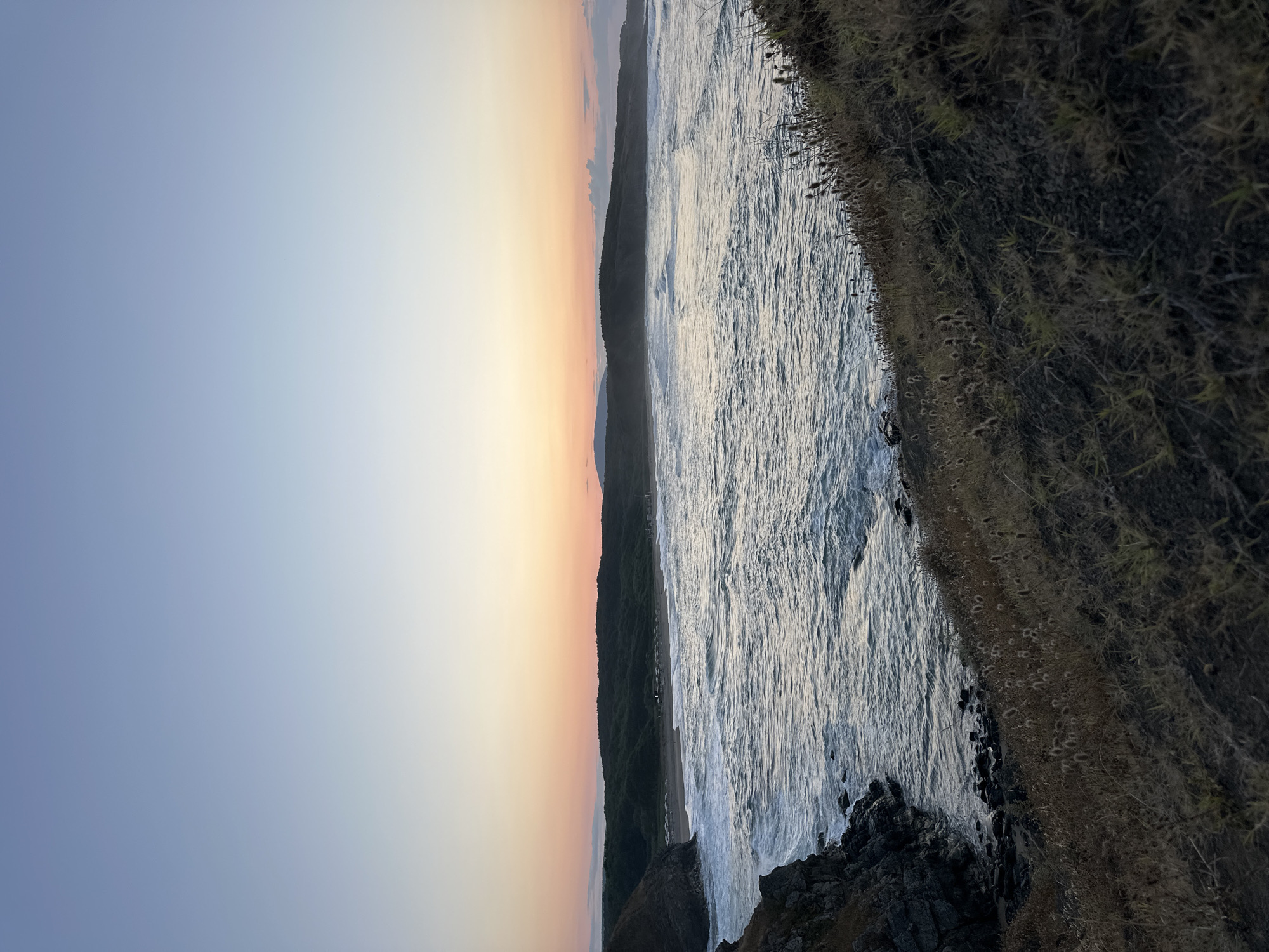 The image depicts a coastal scene at dusk in Sinemorets, Bulgaria. The sky displays a gradient of pale blue near the top transitioning to soft orange and pink hues near the horizon, indicating the setting of the sun. Below the sky, a wide expanse of the Black Sea is visible, characterized by moderate waves and white foam. The water appears textured, reflecting the colors of the sky.
On the left side of the frame, dark, rocky cliffs drop sharply towards the sea, with some smaller rocks visible at their base. The water is crashing against these rocks, creating visible spray.
In the mid-ground, a long stretch of sandy beach is nestled between the sea and a backdrop of rolling, densely forested hills. The beach appears to have some scattered structures, possibly beach umbrellas or small buildings, suggesting it is a populated area or a resort. The hills are covered in dark green vegetation, with a few lighter patches suggesting open areas or variations in tree cover. A distant mountain or large hill is visible on the far right horizon.
The foreground of the image is dominated by a sloping, dry, grassy hillside. The grass is predominantly a light brown or golden color, with some sparser green blades interspersed. There are also clusters of dry, seed-bearing plants with fluffy tops dotting the hillside. The ground itself appears to be dark soil. The perspective of the foreground suggests the viewpoint is from a higher elevation overlooking the beach and sea.
No people are discernible in the image. The scene is a natural landscape enhanced by the atmospheric lighting of sunset and hints of human presence on the distant beach. The overall mood is serene and tranquil, capturing the natural beauty of the Bulgarian coastline at the end of the day.