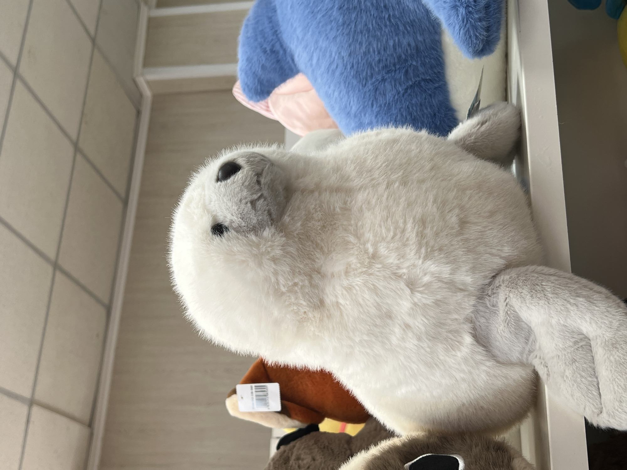 A white, fluffy seal plush toy is the central subject of this image, positioned on a white shelf. The plush toy has a round head with black eyes and a small nose. Its body is plump, and its flippers are visible in the foreground. Behind the seal, other plush toys are partially visible, including an orange and brown plush toy with a tag attached to it on the left, and a large blue plush toy that appears to be a shark on the right. The background consists of a beige wall with a white trim and a ceiling with square panels. The lighting suggests an indoor setting, possibly a store display. There are no people or animals present in the image. The location is identified as Ridder, Kazakhstan.