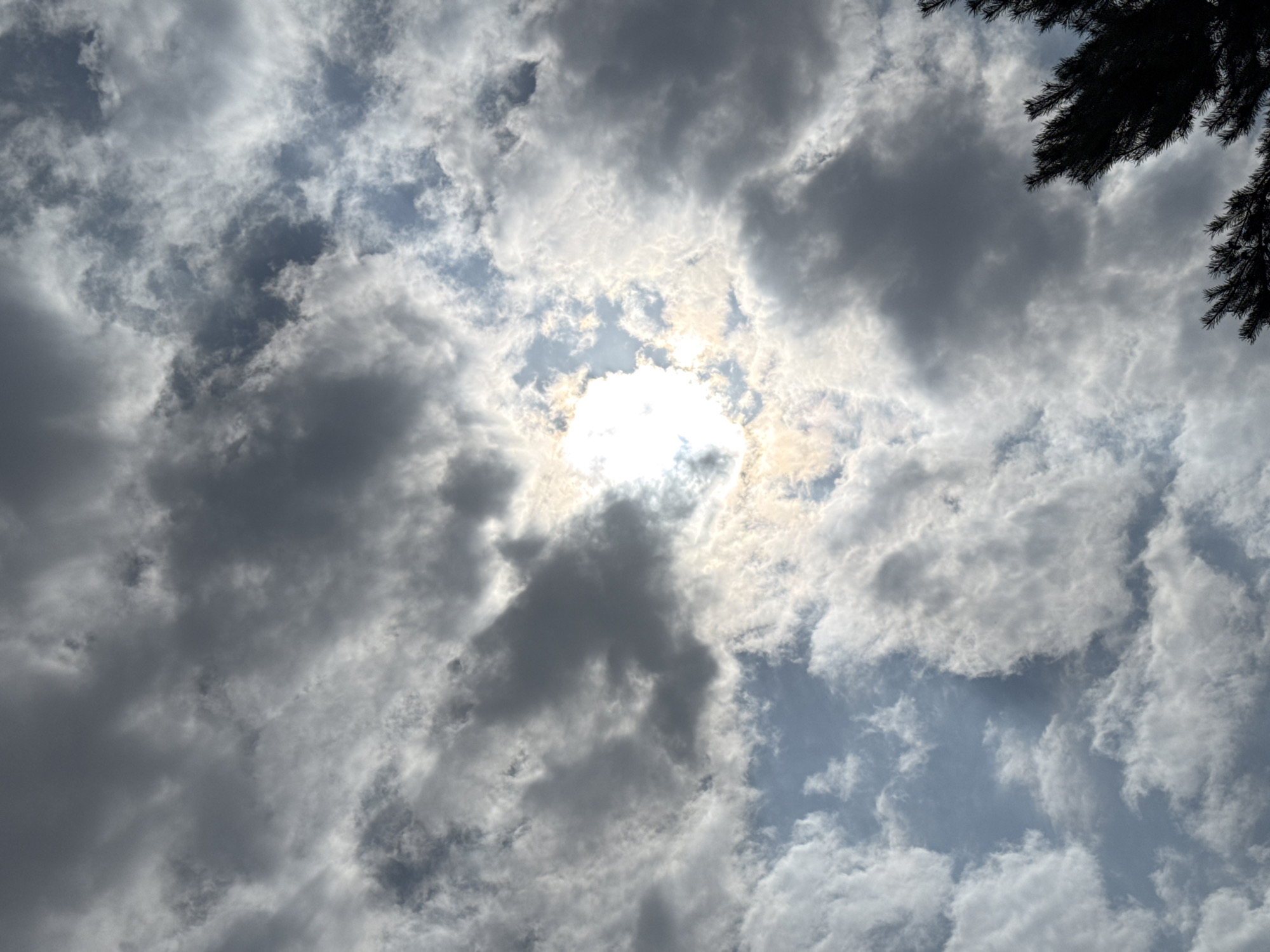 The image captures a cloudy sky with the sun peeking through in the center, creating a bright, almost circular area of light. Darker, heavy clouds dominate the upper and left portions of the frame, while lighter, wispy clouds are more prevalent towards the bottom and right. The sun's rays are partially obscured by the clouds, casting a soft glow. In the lower right corner, the dark silhouette of pine tree branches is visible against the sky. The scene appears to be an outdoor view, likely from ground level looking upwards, characteristic of a natural environment. There are no people or specific urban features visible that would definitively place it in Sary-Oy, Kyrgyzstan, beyond the provided location context.