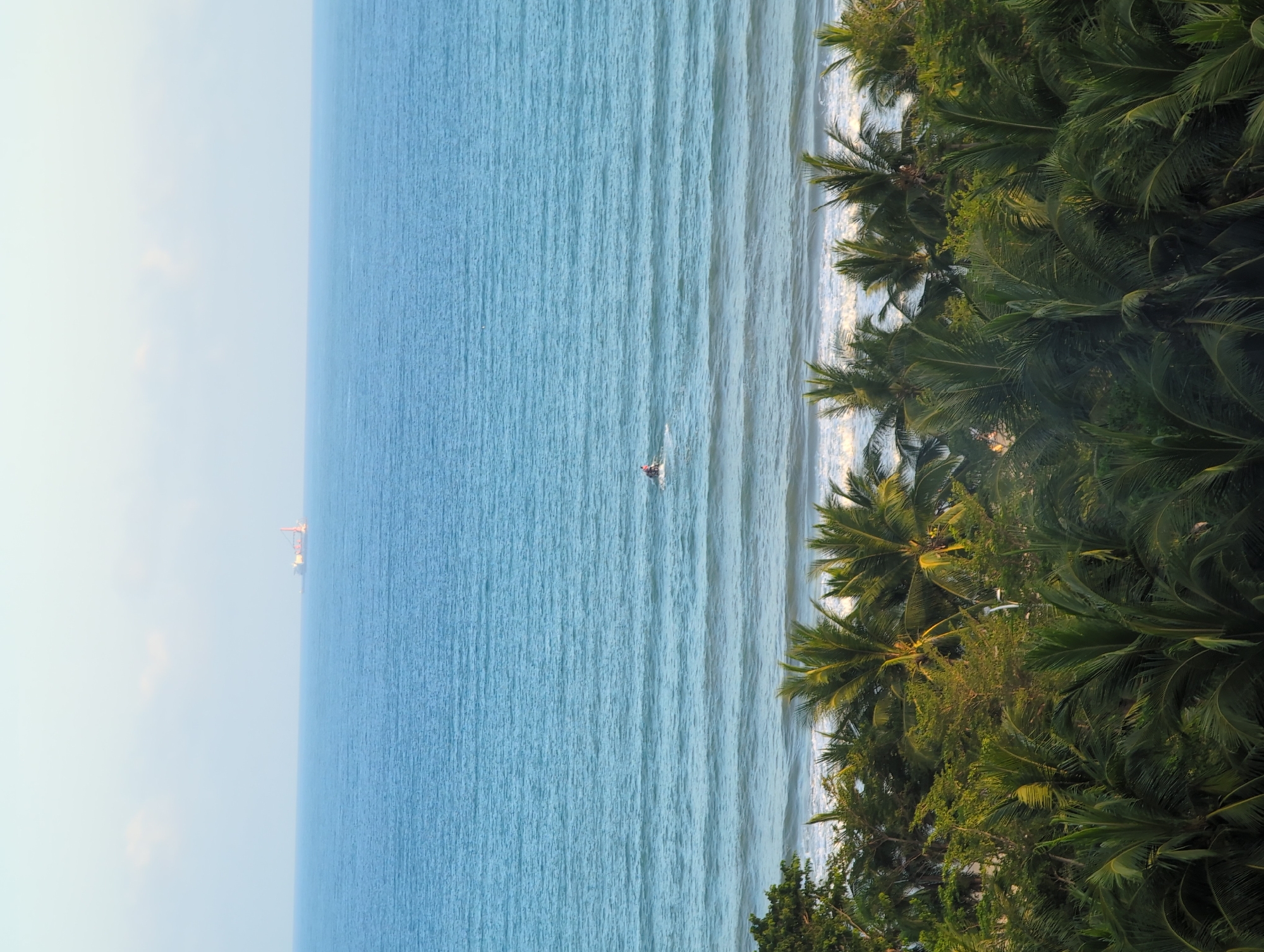The image depicts a coastal scene with a calm blue ocean stretching towards the horizon. A large ship with a red crane is visible in the distance on the ocean. Closer to the shore, a person is riding a jet ski. In the foreground, a dense canopy of palm trees and other lush green vegetation lines the coastline. The sky above is a pale blue with a few wispy clouds. The scene appears to be bathed in soft, natural light, suggesting either early morning or late afternoon.