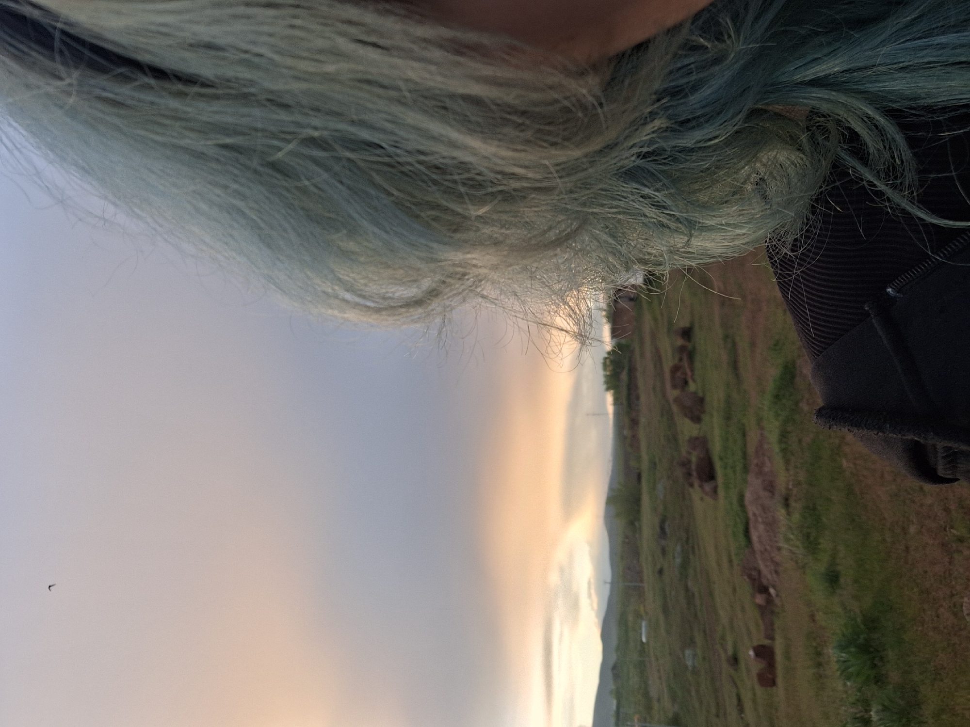 The image shows a view of a landscape and the sky, with a person's teal-colored hair and part of their black jacket in the foreground. The sky is overcast with a gradient of light gray to golden hues. In the background, a grassy field with patches of darker soil or rocks extends towards a distant mountain range. Anipemza, Armenia, is not discernable in this image.