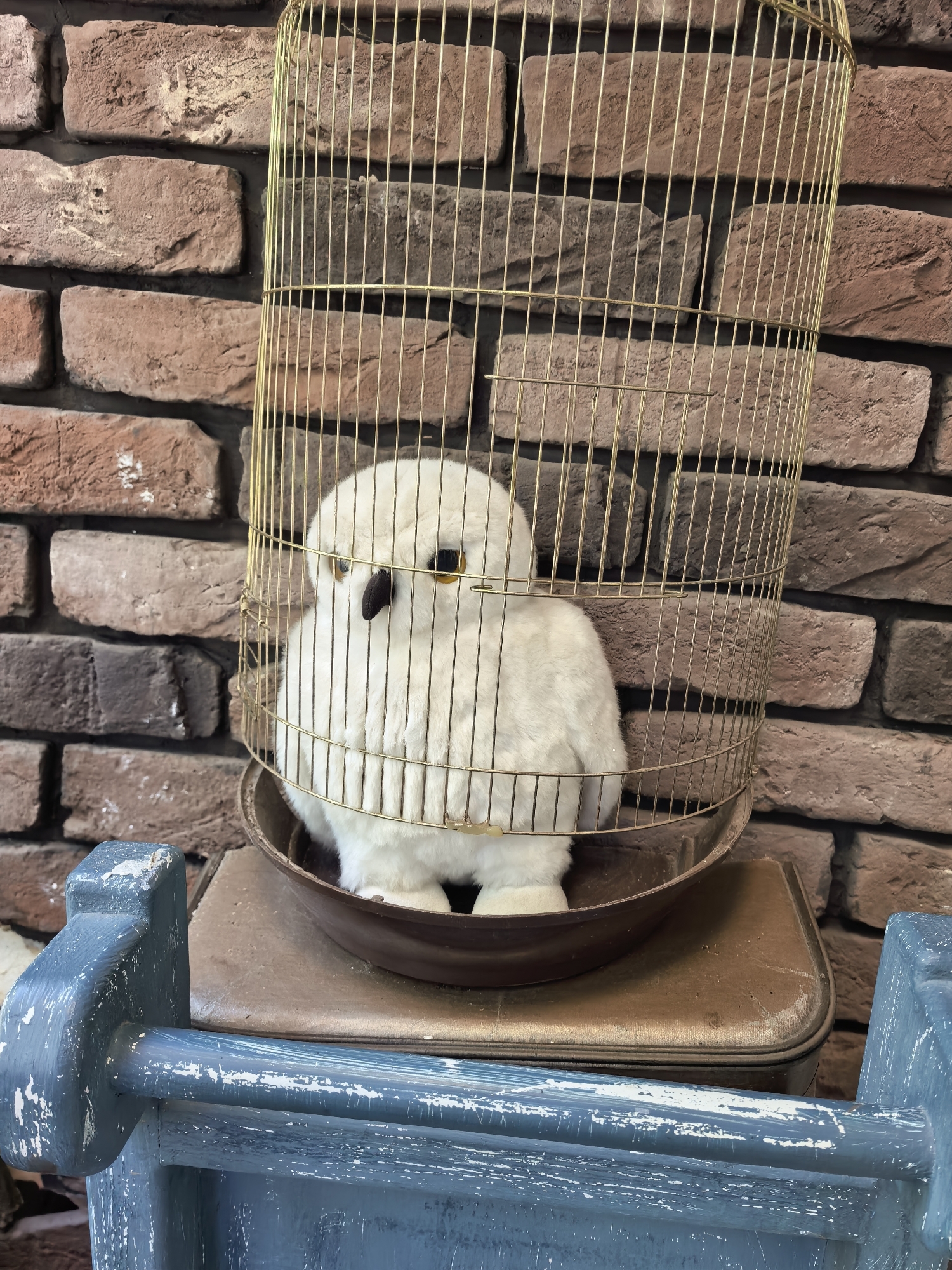 The image shows a stuffed snowy owl inside a brass birdcage. The birdcage is placed on a brown suitcase, which is on top of a wooden structure painted blue. The background is a brick wall. The scene is indoors, possibly in a shop or home. There are no people visible in the image. The owl is white with yellow eyes and a dark beak. The birdcage is cylindrical with a domed top. The suitcase appears old and worn. The blue wooden structure has a distressed paint finish. The brick wall is made of reddish-brown bricks. The lighting in the image is soft and diffused, suggesting it was taken in natural light or under artificial lights that are not directly visible. There is no indication of the image being located in Sterlitamak, Russia.