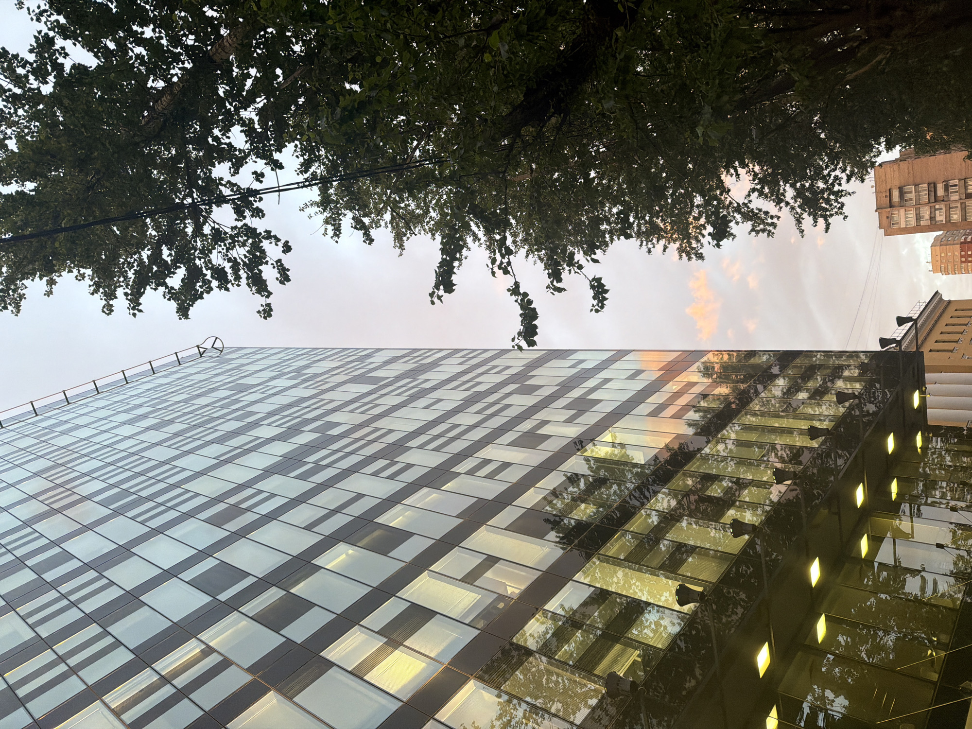 An upward shot reveals a modern glass building on the left, reflecting the sky and surrounding trees. The building's facade is composed of numerous square glass panels framed by dark material, creating a checkered pattern. Rows of illuminated square lights are visible near the base of the building. To the right, lush green trees with dense foliage dominate the frame, their branches extending upwards and partially obscuring the sky. Several power lines are strung between the trees. In the background, two residential buildings are visible. The sky above is overcast with hints of pink and orange, suggesting either sunrise or sunset.