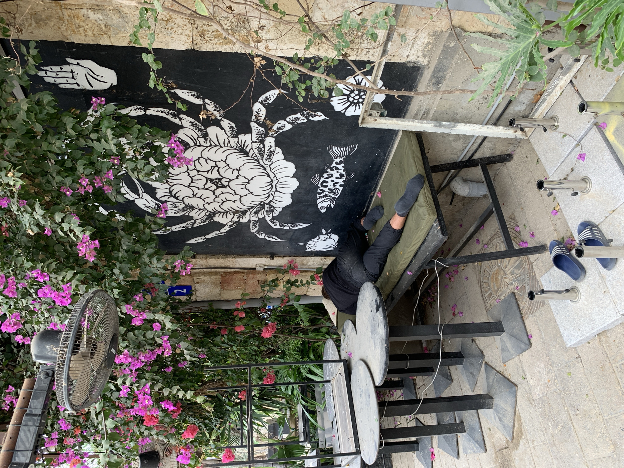 The image depicts a scene in Tel Aviv, Israel. A person is lying on a green mat under a mural painted on a wall. The mural features a white crab, a fish, a flower, and a hand against a black background. Lush bougainvillea vines with pink flowers cascade around the wall and a nearby fan. Adjacent to the mat are metal tables and stairs leading to a patio paved with gray stone tiles. A pair of blue sandals rests on the patio next to a metal post. A "2" can be seen on a small blue sign on the wall behind the vines.