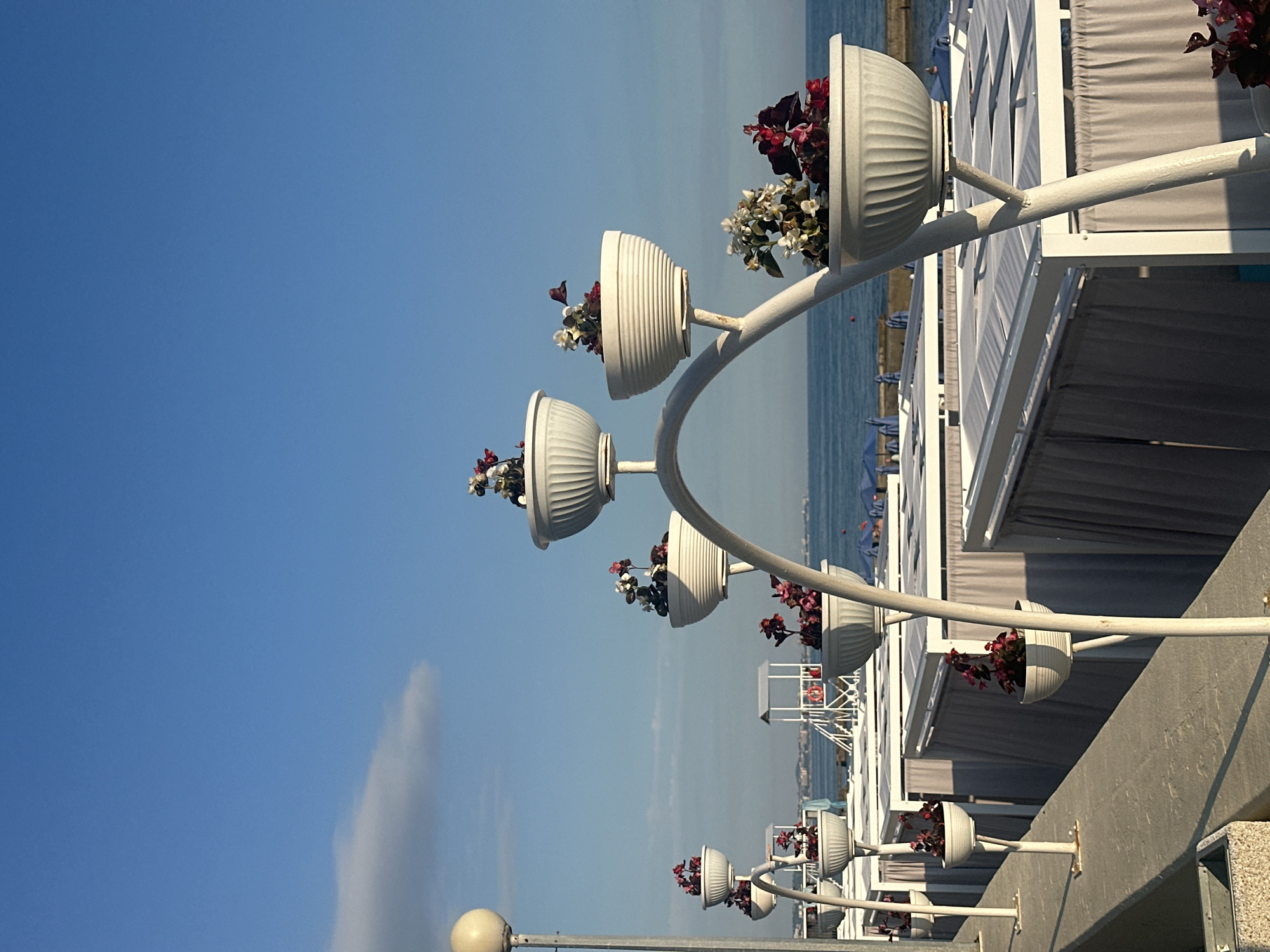 This media file depicts a sunny day at a beach resort in Khostinskiy, Russia. The primary subjects are decorative white planters filled with red and white flowers, arranged along a white railing structure. These planters are mounted on curved white poles that extend from a larger white railing, creating an aesthetically pleasing display. Behind the railing, rows of closed beach cabanas with grey curtains are visible, suggesting a resort setting. The sea is visible in the background, appearing calm and blue under a clear, bright sky. A white cloud is present in the sky on the left side of the frame. The lighting indicates it is daytime, likely mid-morning or afternoon, given the strong sunlight and clear weather. There are no people prominently visible, nor any specific activity taking place, creating a serene and tranquil atmosphere. The overall impression is one of a well-maintained and attractive coastal resort.