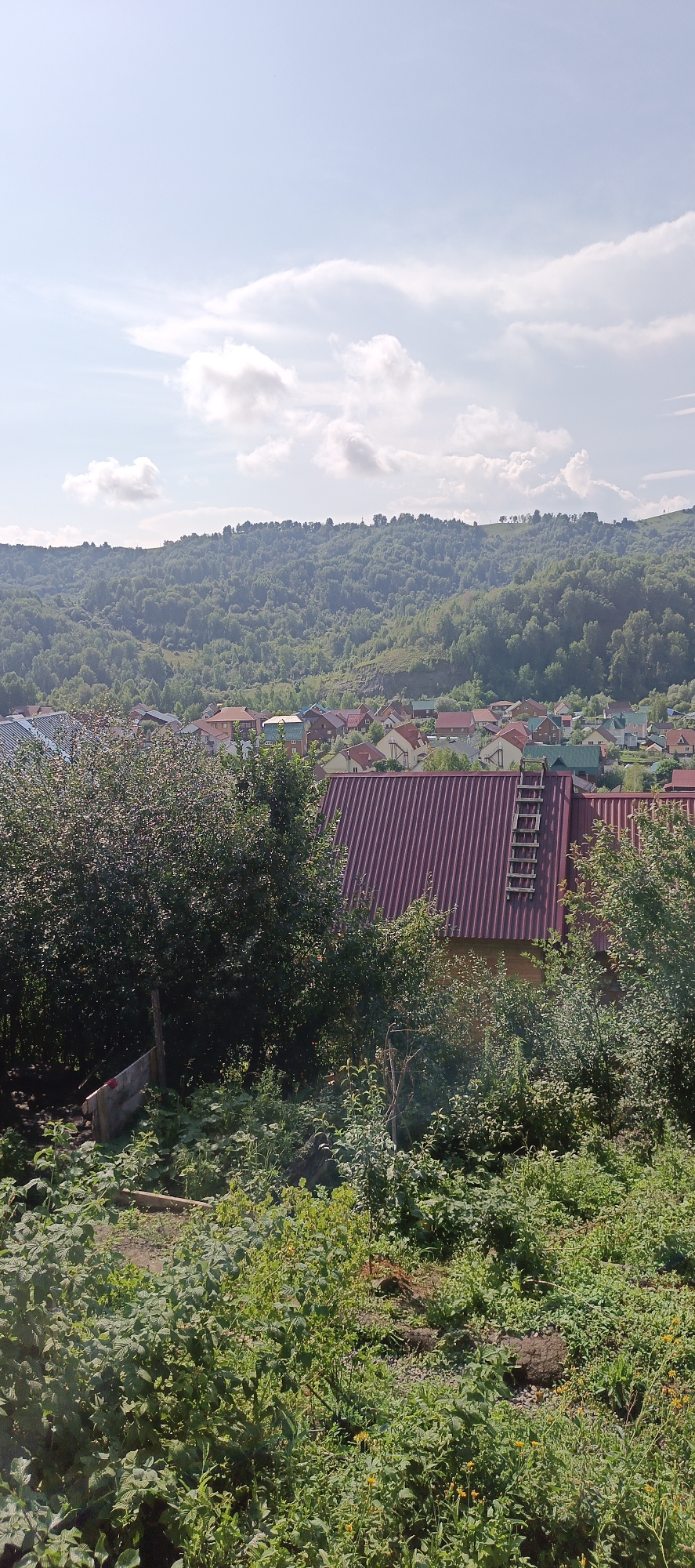 A wide-angle, high-angle shot shows a rural landscape on a sunny day in the outskirts of Gorno-Altaysk, Russia. The foreground is dominated by lush green foliage, including trees and bushes, with a partially visible wooden fence and some scattered soil. Beyond the vegetation, a cluster of houses with red and multi-colored roofs is nestled in a valley. These houses appear to be residential, with some featuring multiple stories. A wooden ladder leans against the corrugated metal roof of one of the houses, suggesting recent work or maintenance. In the background, a densely forested hillside rises, covered with a variety of green trees. The sky above is a pale blue, with scattered white clouds.