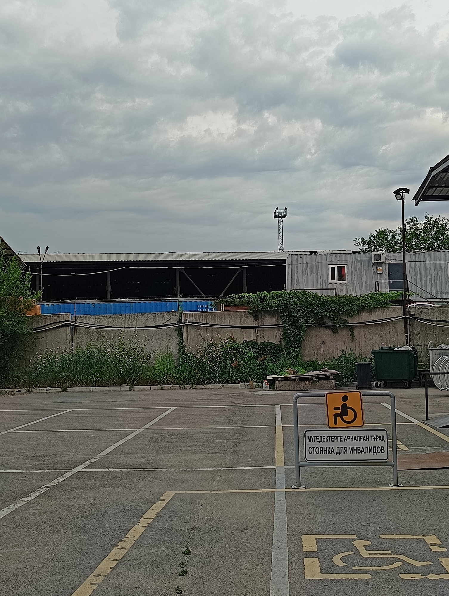 This is a medium shot photograph of a parking lot in Almaty, Kazakhstan, under a cloudy, overcast sky. The foreground features asphalt pavement marked with white and yellow lines, indicating parking spaces. One of these spaces is designated for individuals with disabilities, as indicated by a yellow sign with a wheelchair symbol and text in both Kazakh and Russian. The sign reads: "МҮГЕДЕКТЕРГЕ АРНАЛҒАН ТҰРАҚ" and "СТОЯНКА ДЛЯ ИНВАЛИДОВ".
In the mid-ground, a concrete barrier runs horizontally, overgrown with green vines and flowering plants. Behind the barrier, a long, blue shipping container is visible, and further back, a corrugated metal industrial building with an open section supported by dark metal beams. To the right, there's a tall metal structure with lights on top, resembling a small tower or a lighting rig, and a modern, gray building with a single red-lit window, an air conditioning unit, and a doorway. Two green trash bins are also present.
The overall scene suggests an industrial or commercial area. The cloudy weather implies it might be late afternoon or early morning, or a generally gloomy day. No people are visible in the photograph. The focus is on the parking lot markings and the surrounding infrastructure.
