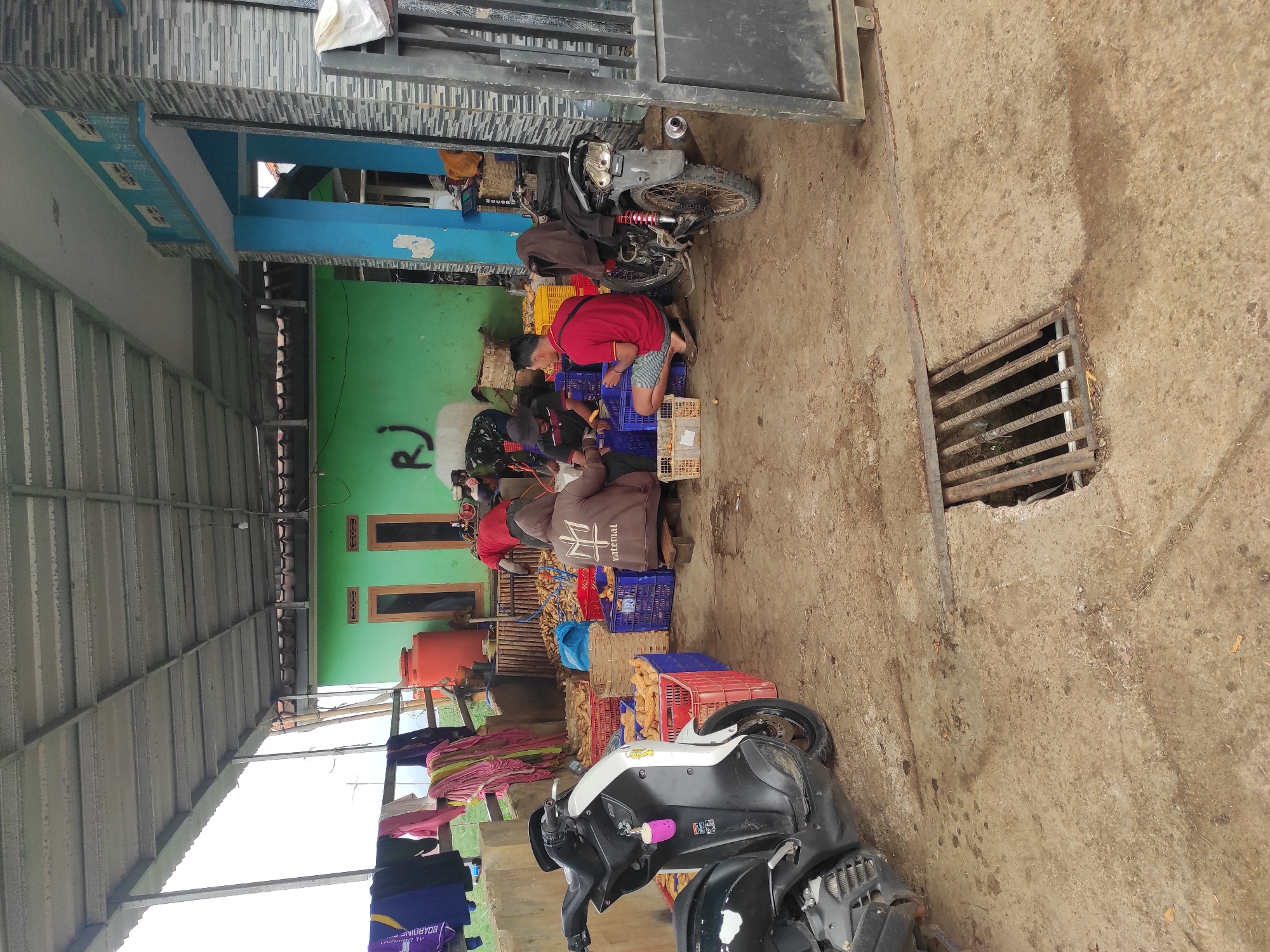 The image depicts an outdoor covered area, likely a porch or awning, adjacent to a building with a green wall. The ground is concrete and shows some dirt and debris.
In the foreground, a black and white scooter is parked. In the middle ground, several people are seen working with baskets and crates filled with what appear to be agricultural products, possibly corn or root vegetables. The people are dressed in casual clothing. One individual is wearing a brown hoodie with a logo on the back. Another is wearing a red t-shirt. Several blue and red plastic crates are stacked around the work area.
In the background, a bright orange water tank is visible next to a wooden fence. Laundry is hanging on a line in front of a structure. The building behind the activity has a green exterior wall with two windows and graffiti that reads "RJ". To the right of the green building, a portion of another building with blue accents and a gray stone facade is visible. A metal gate or fence is also present on the right side of the image.
The overall scene suggests an agricultural processing or sorting area, possibly in a rural or semi-rural setting within Sumedang, Indonesia, given the context provided. The weather appears overcast, judging by the diffused light.