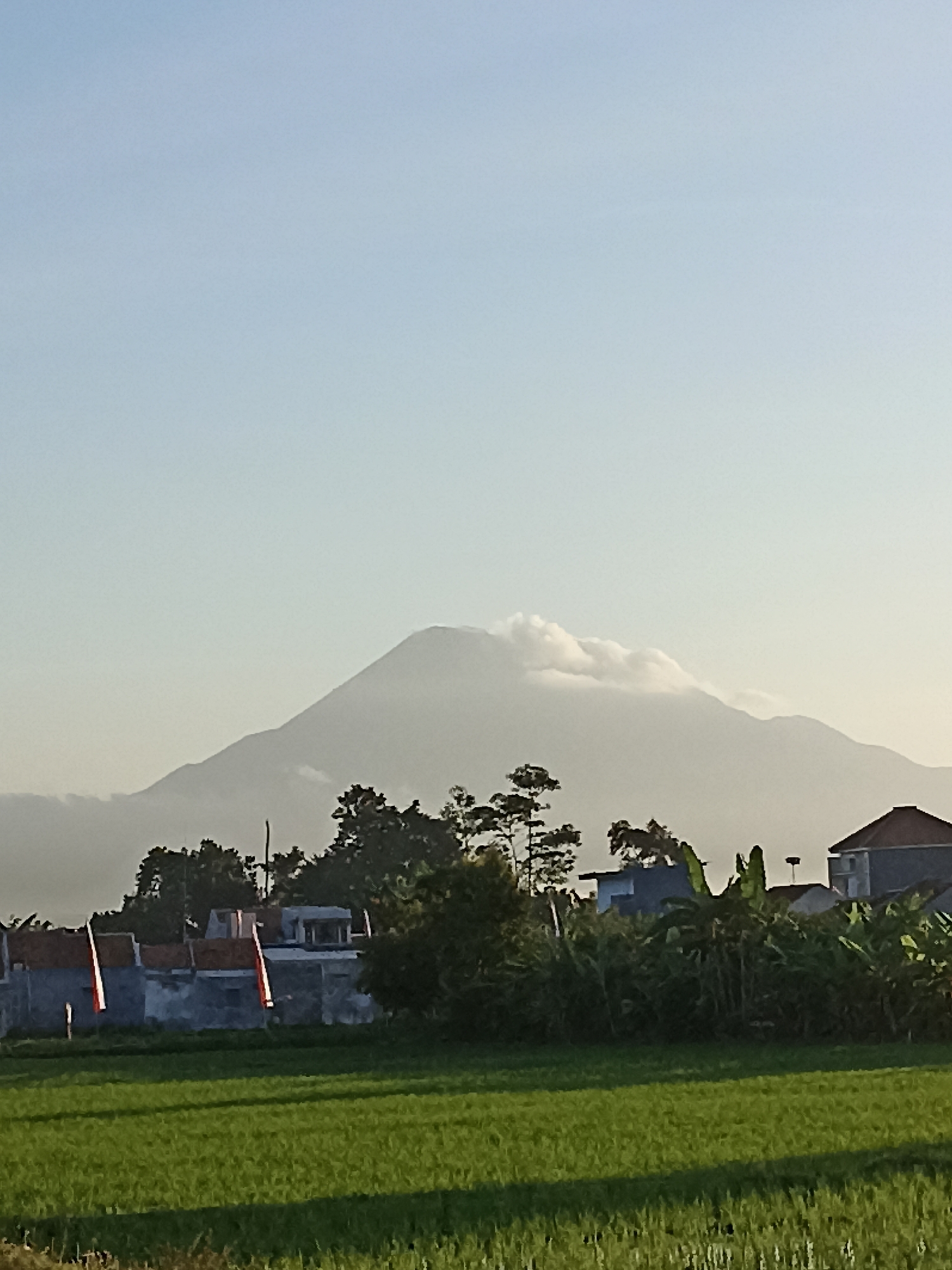 The image depicts a serene landscape in Sumberejo, Indonesia, featuring a prominent mountain veiled by soft clouds in the background. In the mid-ground, a cluster of houses with red-tiled roofs are nestled amidst lush green foliage and trees. Two red and white flags, possibly representing the Indonesian flag, are visible near the houses. The foreground is dominated by a vibrant green rice paddy field, characteristic of the agricultural landscape of the region. The sky is a clear, pale blue, suggesting a calm, early morning or late afternoon setting. The overall scene conveys a sense of rural tranquility and natural beauty.