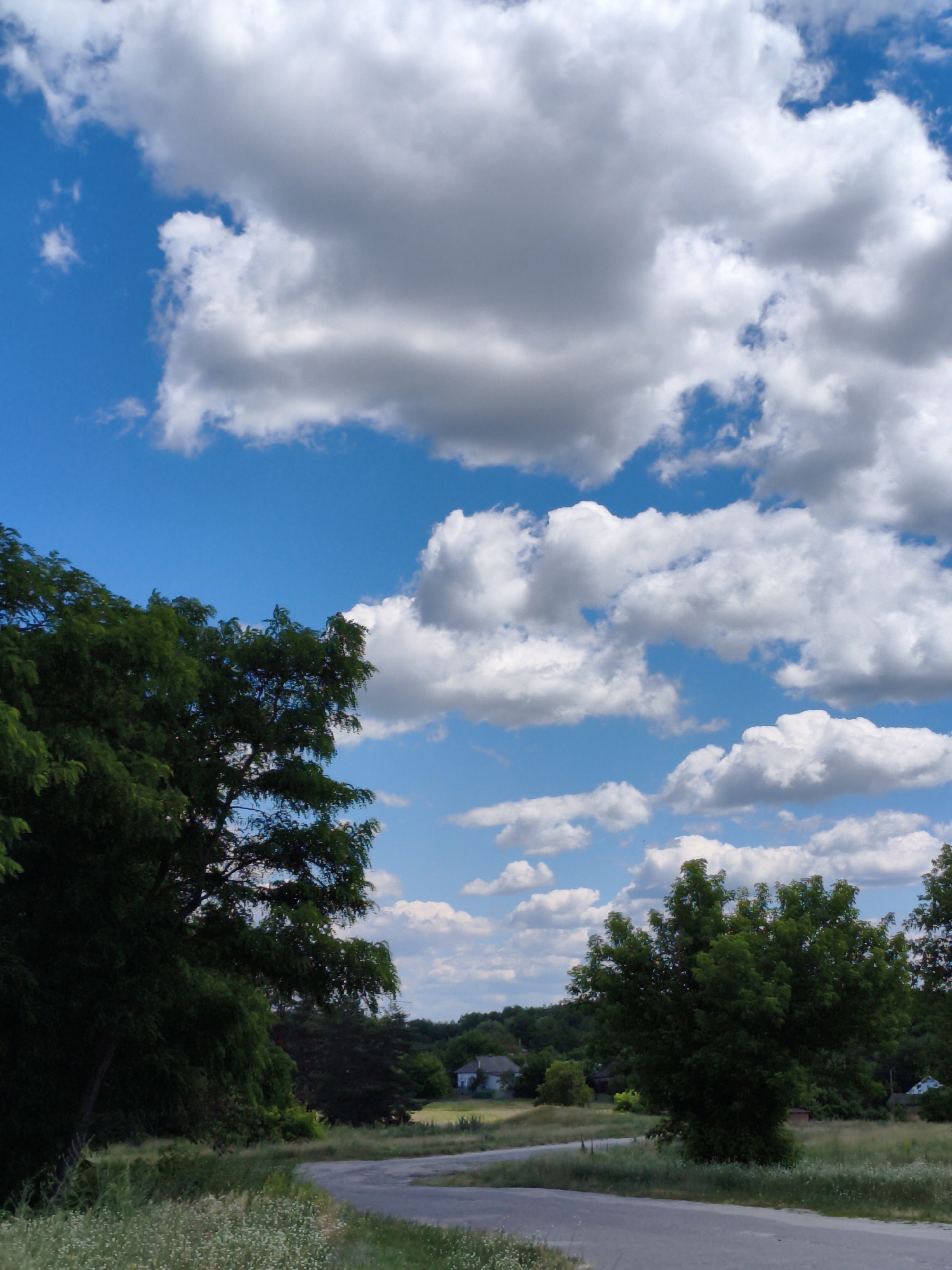 A rural road winds through a grassy landscape under a bright blue sky filled with dramatic white and gray clouds. Lush green trees frame the left side of the image, their leaves dense and shadowy. In the distance, a few houses are visible nestled among rolling hills covered in greenery. The road appears to be unpaved or made of asphalt in a state of disrepair, with dry grass and wildflowers growing along its edges. The overall impression is one of a peaceful, sun-drenched countryside scene in Matiashivka, Ukraine.