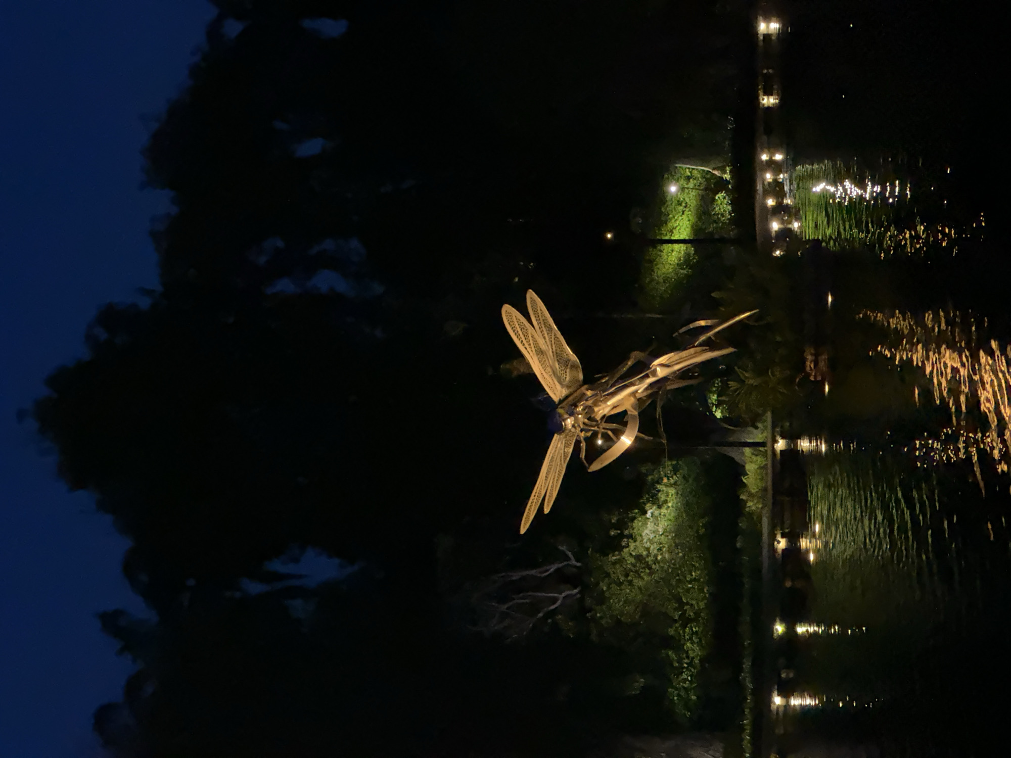 This is a nighttime photograph of a large, metallic dragonfly sculpture situated in a pond at the Singapore Botanic Gardens. The sculpture is illuminated, highlighting its intricate details and reflective wings, which cast a golden glow onto the dark water. The pond's surface is rippled, creating shimmering reflections of the sculpture and the small lights bordering the pond. Lush greenery, densely silhouetted by the night sky, forms the background, with a single lamppost casting a green light on the foliage. The overall mood is serene and atmospheric.