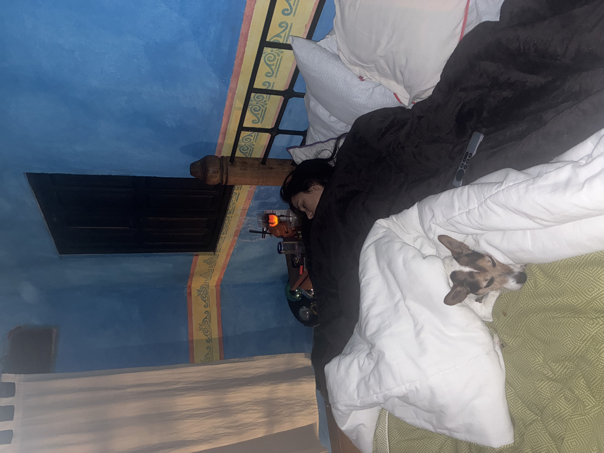 A woman lies sleeping in a bed with a dog, in what appears to be a bedroom in Cañada de Madero, Mexico. The woman is covered in a black blanket and a white comforter is partially covering a small dog at the edge of the bed. A remote is visible on the black blanket. A bedside table holds a glass of amber liquid and other objects. The walls are painted blue with yellow and red decorative trim. A window is visible on the left. The bed frame is wood with a black metal support structure. The bed has green patterned bedding. The white curtains hang on the bottom left of the frame.