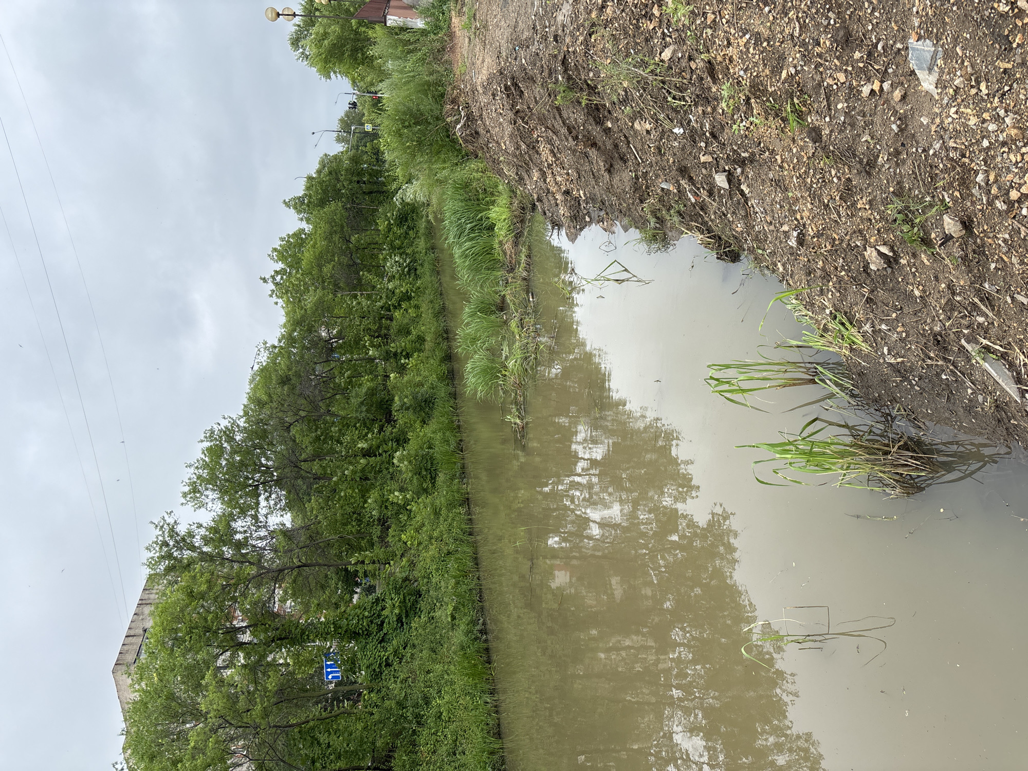 The image depicts a narrow, murky canal or drainage ditch running through a semi-urban area. Dense green foliage and trees line the left bank, partially obscuring a multi-story brick building in the background. A blue traffic sign with white arrows is visible amidst the greenery. On the right bank, the terrain is rough and eroded, with exposed soil, rocks, and scattered debris, suggesting recent excavation or neglect. The water itself is a dull, muddy brown, reflecting the overcast sky and the surrounding vegetation. Patches of tall grass and reeds grow along the water's edge and in the canal. In the distance, hints of streetlights and traffic signals suggest the proximity of a road. The overall impression is one of an overlooked or neglected urban waterway.