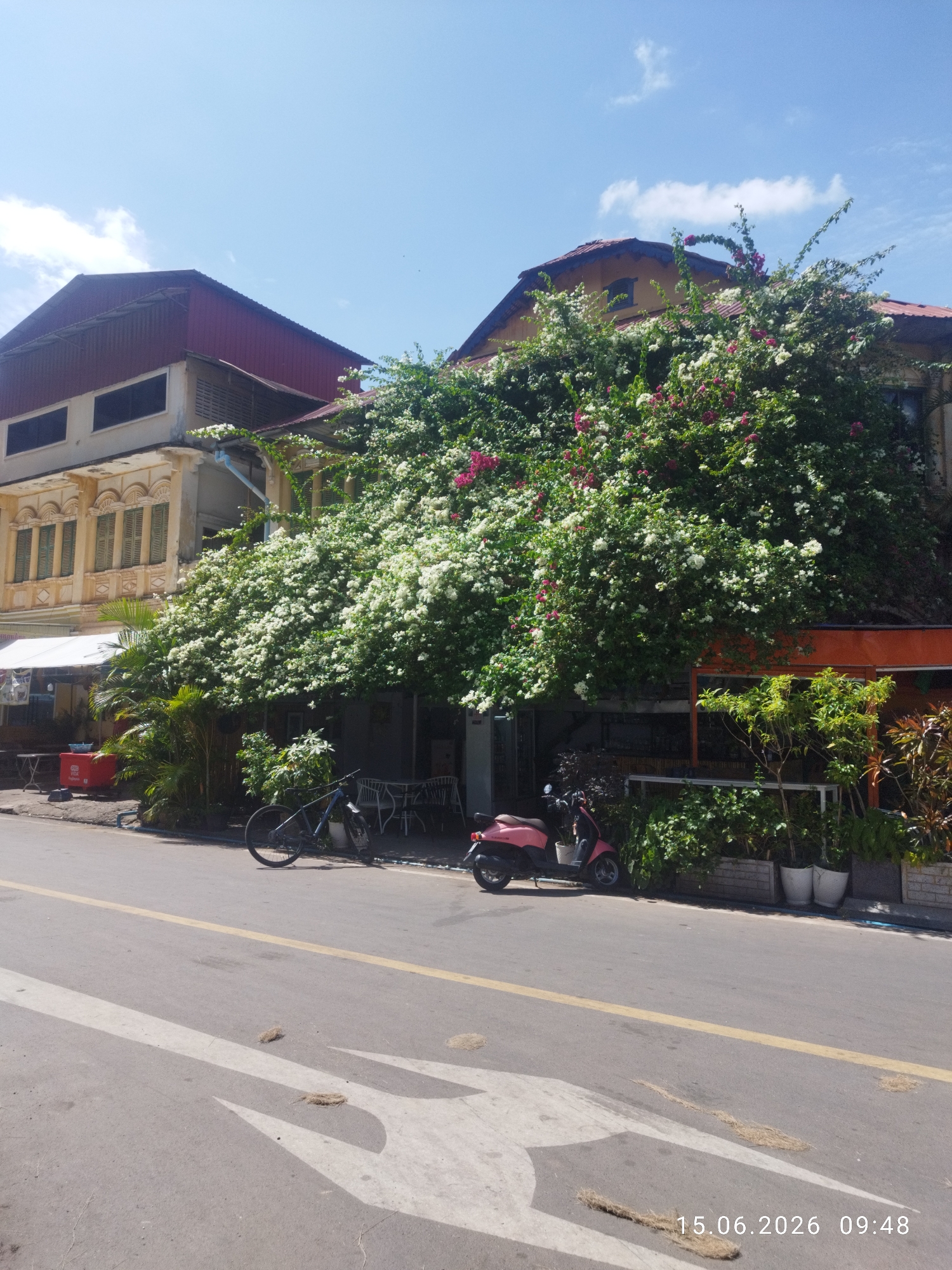 This is an outdoor street-level, medium-range shot of a building facade in Kampot, Cambodia. The building has two upper stories with a red metal roof. The lower portion of the building is covered in lush green foliage with white and pink flowers. In front of the building, there is a paved street with white and yellow lines. On the sidewalk, there are two parked vehicles: a dark-colored bicycle on the left and a pink scooter on the right. Several potted plants are visible on the sidewalk as well. The sky is clear and blue with a few scattered clouds. The timestamp "15.06.2026 09:48" is visible in the lower right corner of the image.