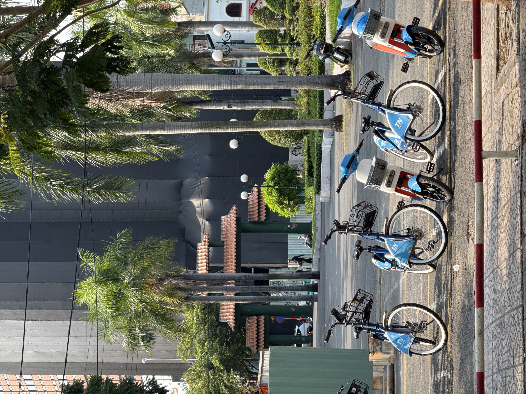 The image depicts a street scene in Thủ Đức city, Vietnam. Five bicycles, branded with "TN" and with baskets, are parked along the side of a sidewalk. A red-and-white curb separates the sidewalk from the road. Palm trees line the street and a tall building with a black facade is visible. There are also other buildings with orange-tiled roofs and a lamp post with white lights are visible. In the background, there are some people visible walking.