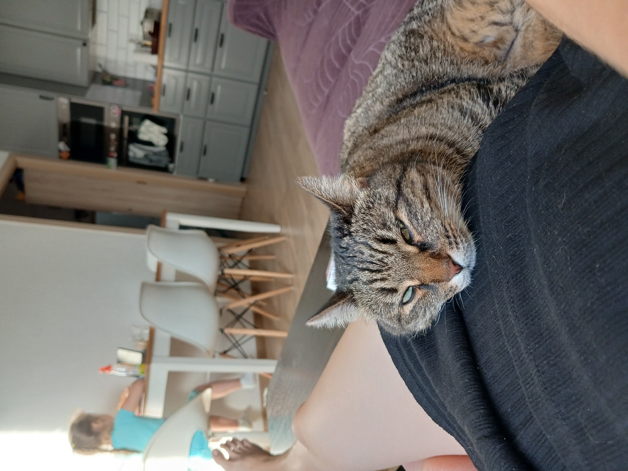 The image captures an indoor scene, likely a home living area or dining space. In the foreground, a tabby cat is resting on a person's lap. The cat is facing the camera, with its head propped up and its eyes partially closed. The person's legs are visible beneath the cat, wearing black clothing. In the background, a young child is seated at a white table with several chairs around it. The child appears to be engaged with something on the table, possibly a tablet or book, with a bottle of liquid nearby. Further in the background, a kitchen area with grey cabinetry and appliances is visible, along with a doorway. The lighting suggests it is daytime, with natural light coming from a window or other light source. The image does not contain any identifiable landmarks or features that would allow for pinpointing its location within Yekaterinburg, Russia.