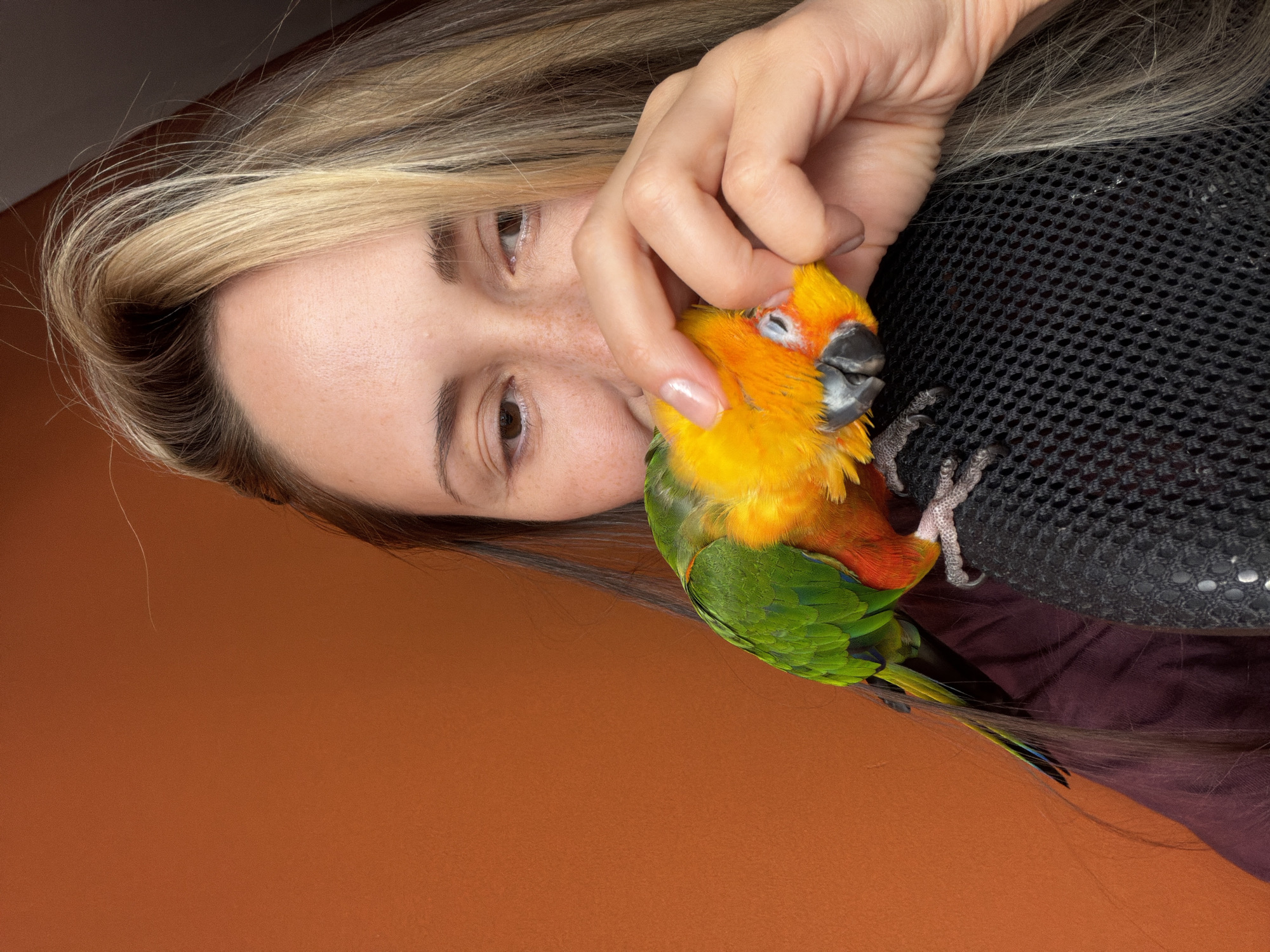 A woman with light hair and freckles is shown holding a colorful parrot. The parrot has yellow, orange, and green feathers. The woman is holding the parrot's head gently with her hand. The background is a solid orange color. To the right of the parrot is a black, net-like material. The location is not evident in the image.