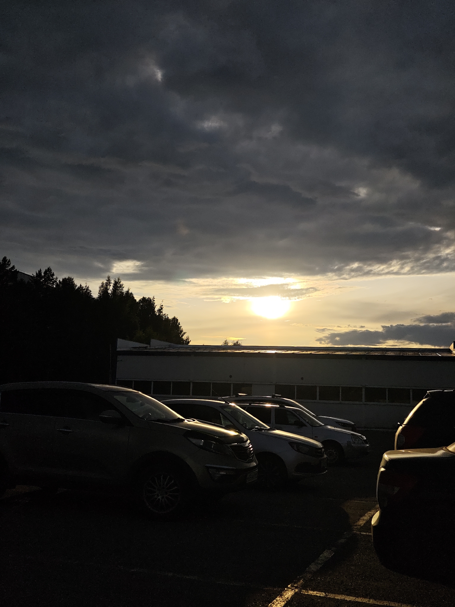 An outdoor, ground-level, vertical shot captures a line of parked cars under a dramatic, cloudy sky during what appears to be sunset. The sun is a bright, diffused orb low on the horizon, casting a warm, golden light through a gap in the dark, heavy clouds. The light illuminates the tops of some clouds and creates a bright halo around the sun itself. Silhouetted against the sky are a dense line of evergreen trees and the top of a long, rectangular building with rows of windows. The foreground is dominated by the dark silhouettes of several cars parked side-by-side, with only faint highlights from the setting sun reflecting off their surfaces. The pavement beneath the cars is also dark, with some lighter, possibly painted lines visible. The overall mood is somber yet striking, with the contrast between the dark foreground and the illuminated sky creating a powerful visual effect. The location is identified as being in the city of Chaikovsky, Russia.
