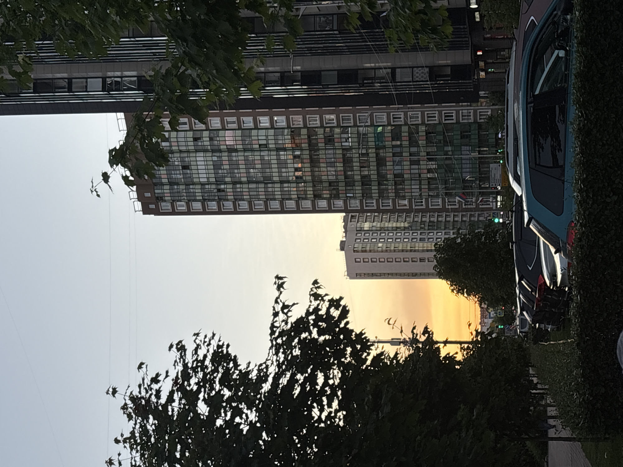 A street-level, medium-wide shot captures a residential street scene in Sinyavino, Russia, at dusk. The sky is a soft gradient of pale blue to warm orange, indicating the setting sun. On the right, a tall, modern apartment building with a dark facade and vertical window design dominates the frame, partially obscured by the dark green leaves of a large tree in the foreground. To the left of this building, another tall residential building features a facade of numerous square windows, some with colorful accents. Further left, a slightly shorter building with a lighter, more traditional facade of windows is visible.
The street is lined with parked cars. In the immediate foreground, the dark green leaves of a tree frame the scene, with its trunk visible on the far left. In the mid-ground, a row of cars is parked along the street, mostly dark-colored sedans and SUVs, with a teal-colored car prominently in the front right. A low, manicured hedge runs along the side of the parking area. In the distance, more buildings and trees are visible, with traffic lights showing green. The overall atmosphere is calm and urban.