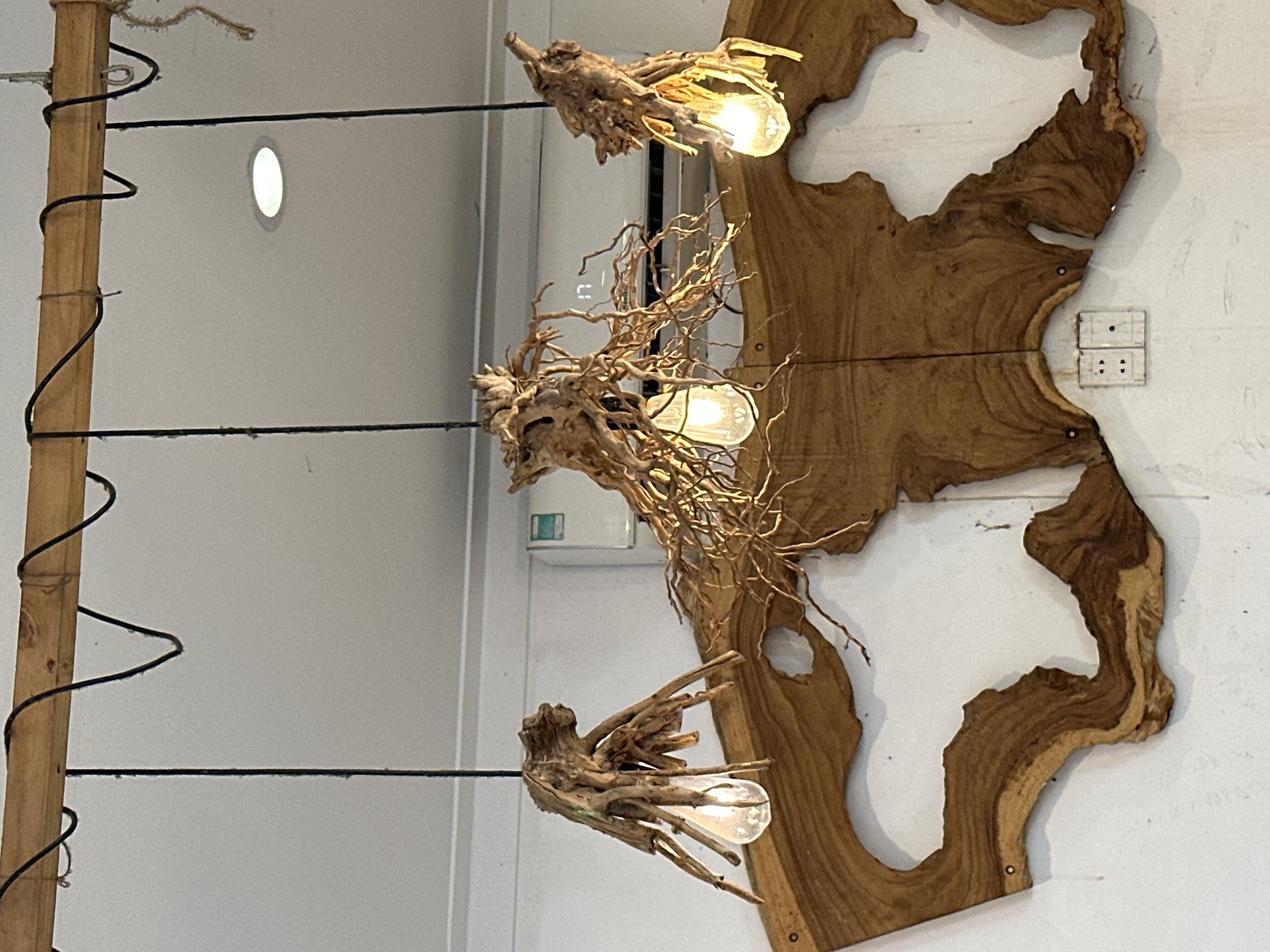 The image depicts a close-up, eye-level view of a rustic light fixture hanging from a wooden beam. Three bare incandescent bulbs are suspended by black cords, each encased in a unique, organic wooden structure that resembles gnarled roots or branches. These fixtures hang above a large, irregularly shaped piece of polished wood mounted on a white wall. The wood has a rich, variegated grain and appears to be a natural slab with an unfinished edge. In the background, a white air conditioning unit is visible on the wall, with a small digital display showing "17". The scene is well-lit, with light emanating from the bulbs and a recessed ceiling light. The overall aesthetic is natural and artisanal, suggesting a decorative element in a cafe or a home. The location is specified as Bac Nha Trang Ward, Vietnam.