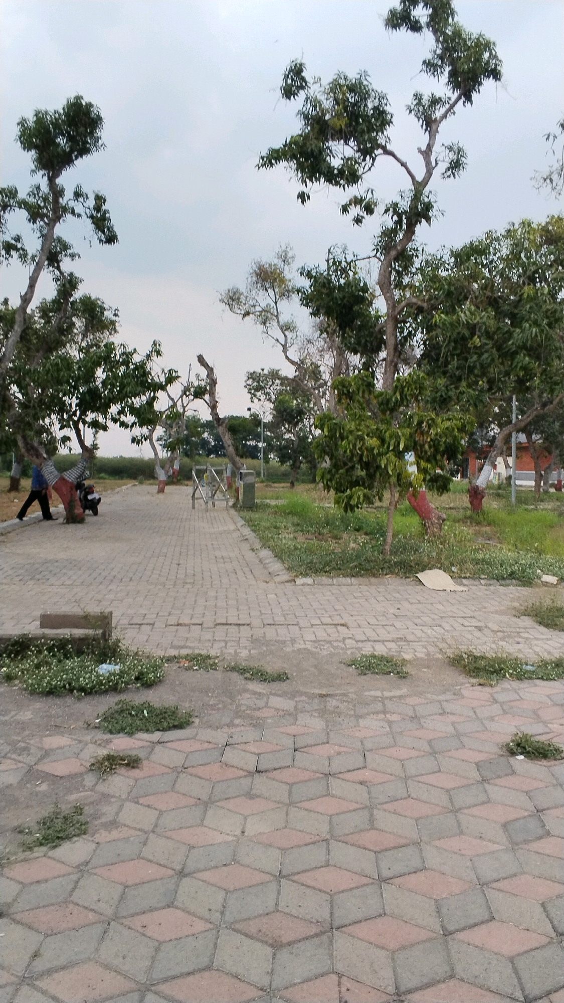 This image shows an outdoor paved area with trees and a cloudy sky. In the foreground, a pathway made of interlocking hexagonal tiles with a 3D optical illusion pattern is visible. Further back, a straight pathway made of rectangular pavers leads through a grassy area with several trees. To the left, two people are walking and standing near a motorcycle, with one person dressed in a blue shirt and dark pants, and the other in a patterned shirt and dark pants. A silver motorcycle is parked near the person in the blue shirt. Further along the path, a trash can and a metal barrier are present. In the background, more trees and some buildings with red accents are visible. The location is identified as Ngingasrembyong, Indonesia.
