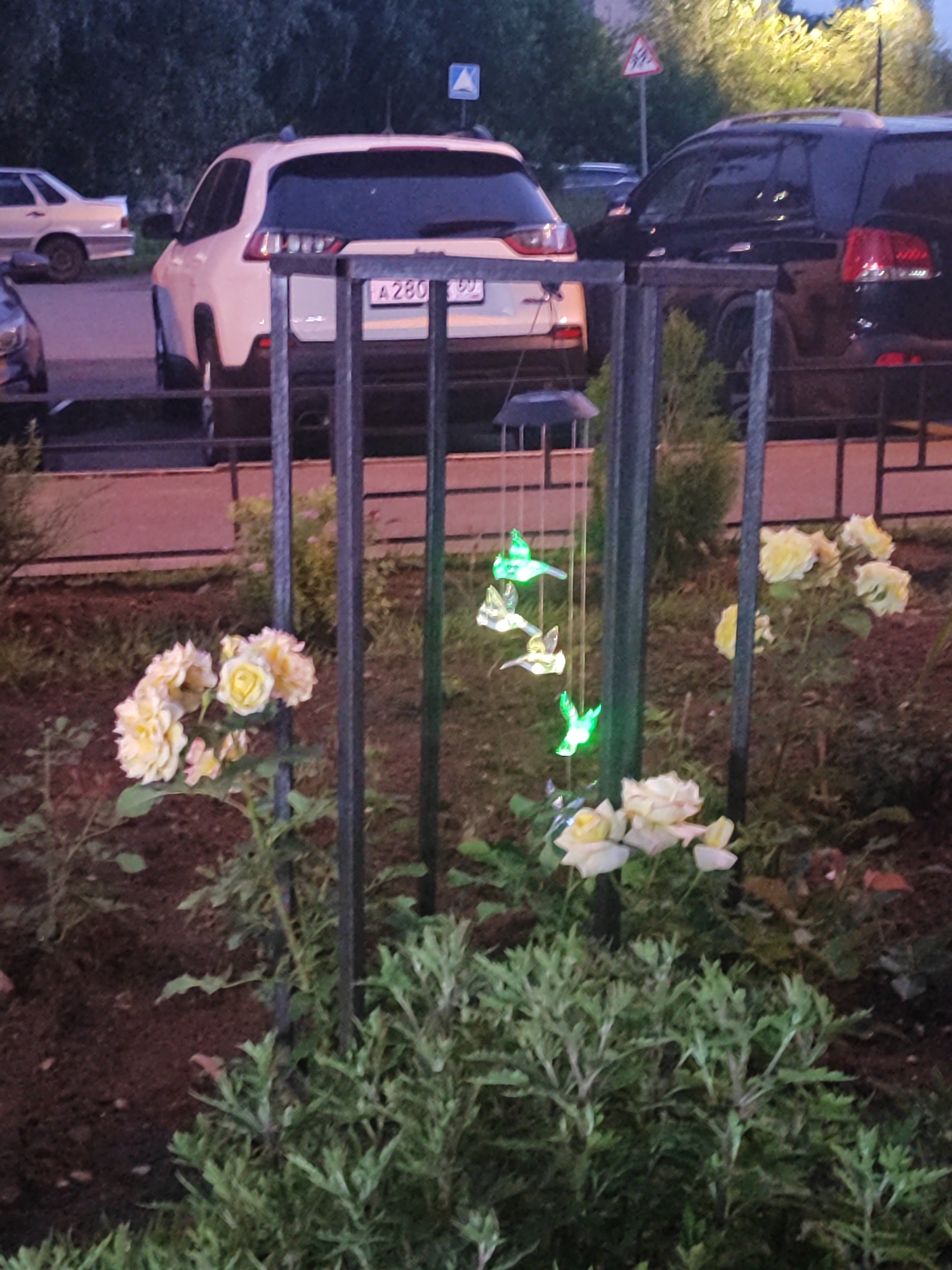 The image captures a twilight scene in Shchyolkovo, Russia, featuring a garden area with cars parked in the background. In the foreground, a cluster of pale yellow roses is in bloom, with some pinkish hues visible. Beside the flowers, a black metal fence post supports a wind chime decorated with illuminated hummingbird-shaped ornaments, emitting a green glow.
Behind the fence, a white SUV, possibly a Jeep Cherokee, is parked, its rear license plate visible with the text "A 280 69". To the right of the white SUV, a dark-colored SUV, potentially a Jeep Grand Cherokee, is also parked. Further in the background, another car, lighter in color, is partially visible. The overall setting suggests a residential area or parking lot adjacent to a garden. The lighting indicates it is either early morning or late evening, with ambient light from the sky and the illuminated ornaments on the wind chime. The weather appears calm, with no visible signs of rain or wind. The scene evokes a peaceful, suburban atmosphere at the end of the day.