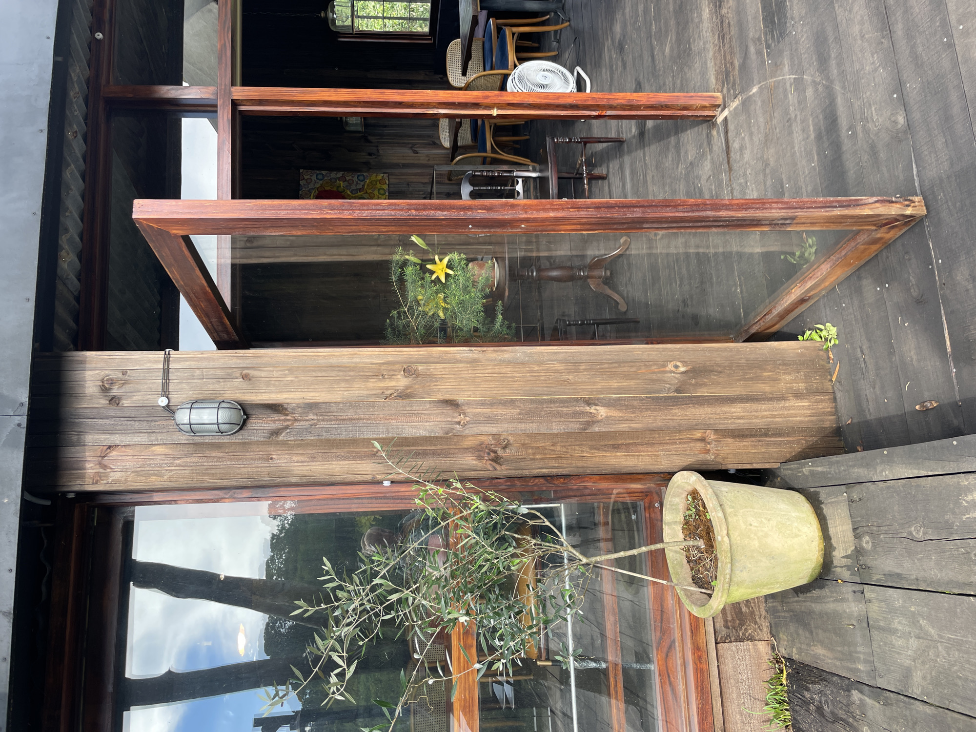 The image depicts the exterior of a wooden building with large windows, likely a cafe or restaurant, in Da Lat, Vietnam. A potted olive tree stands on a dark wooden deck in the foreground to the left. The building features rustic wooden paneling and frames the windows and an open door. Through the glass, several tables and chairs are visible inside, along with a vase of yellow flowers on a small round table. A white electric fan is also present indoors. The reflections in the windows show trees and the sky. The overall ambiance is natural and relaxed, suggesting an outdoor seating area or a welcoming entrance.
