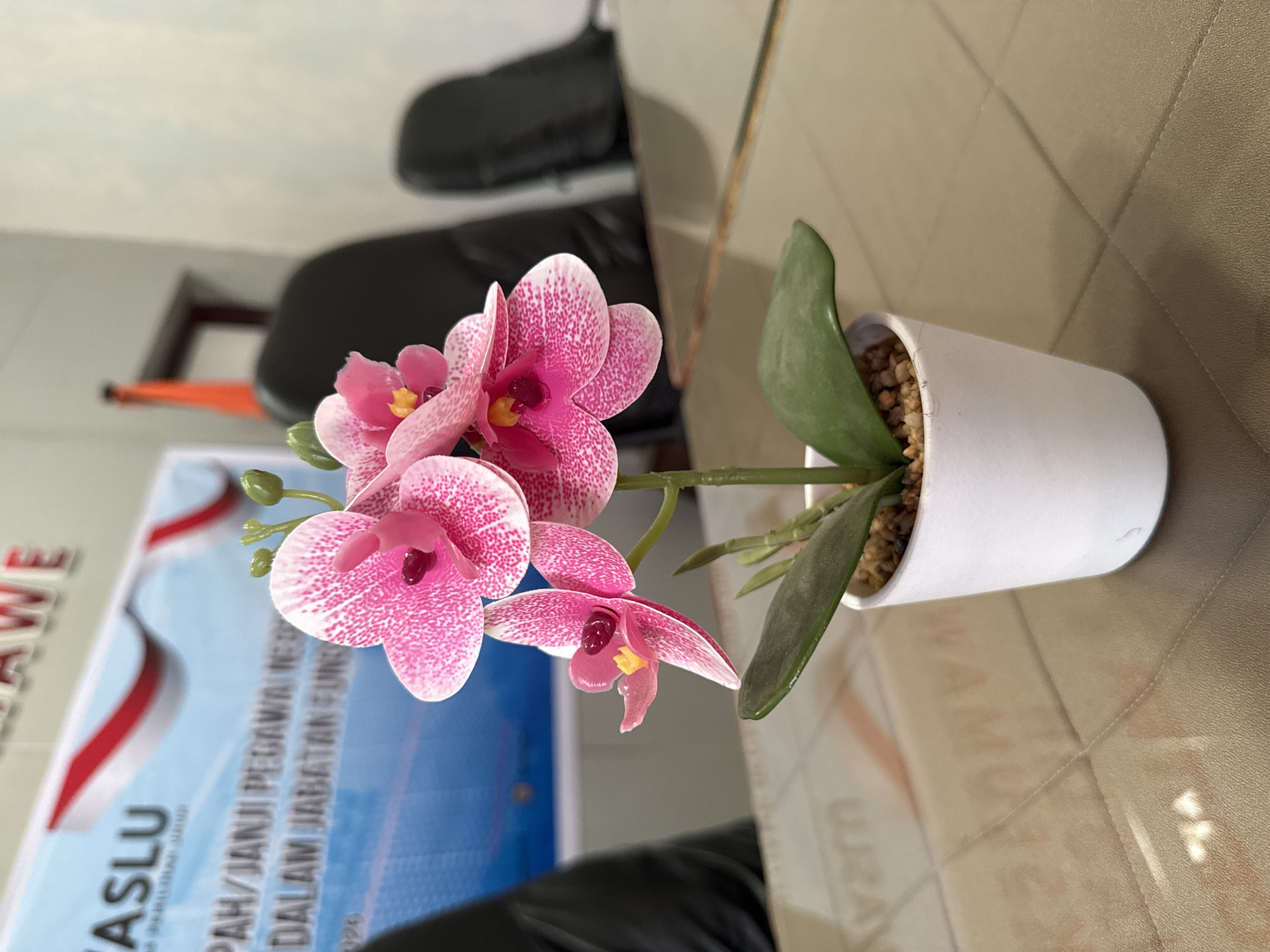 The image shows a potted pink and white orchid on a tan, textured surface. Behind the orchid is a partially visible sign with Indonesian text, including the words "ASLU" and "PAH/JANJI PEGAWAI" and the date "2026," suggesting an oath or pledge. A black chair is also visible in the background. The location in the city of Lhokseumawe, Indonesia, cannot be confirmed from the image.