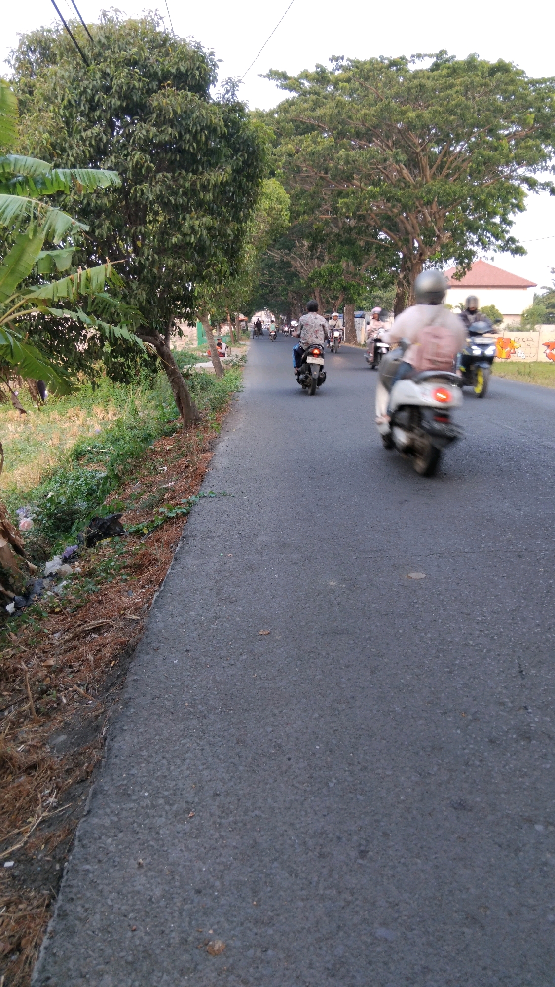 The image depicts a road scene in Tegal, Indonesia, likely an urban or suburban area given the presence of trees and buildings. The road is paved and appears to be a two-lane street, with several motorcycles in motion. On the right side of the road, a light-colored scooter with a person wearing a backpack is prominently blurred due to motion, indicating it is moving away from the viewer. To the left of this scooter, another motorcycle and rider, also blurred, are visible. Further down the road, more motorcycles can be seen, suggesting moderate traffic.
The left side of the image features lush vegetation, including banana trees with large leaves and other leafy plants. Some dry brush and what appear to be discarded plastic waste are present along the edge of the road and on the embankment. Tall trees with dense green foliage line both sides of the road, creating a canopy effect in some sections. In the background, on the right, a building with a red-tiled roof is visible, partially obscured by the trees. The sky is overcast or hazy, with a bright but diffused light. The overall impression is that of a typical street in a tropical region during daylight hours.
