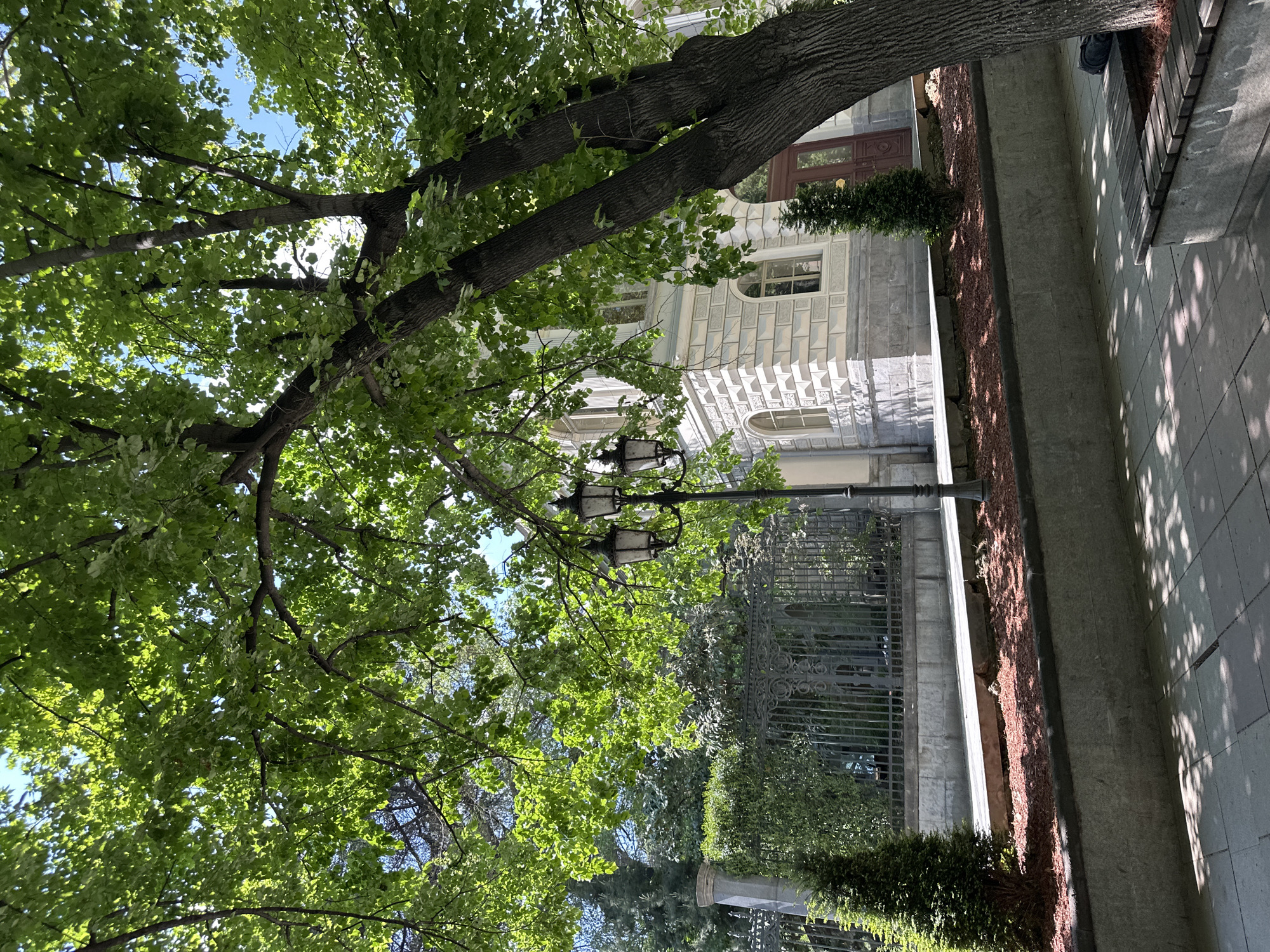The image depicts a street scene in Tbilisi, Georgia. In the foreground, a large tree with green leaves dominates the view, partially obscuring the architecture. A black ornate lamppost stands near the tree. Behind the tree, a building with a pale facade featuring decorative architectural elements is visible. A dark iron fence runs parallel to the building. A sidewalk with patterned pavers is on the right side of the image. The sidewalk is lined with a narrow strip of reddish-brown mulch or small pebbles. The image appears to have been rotated.