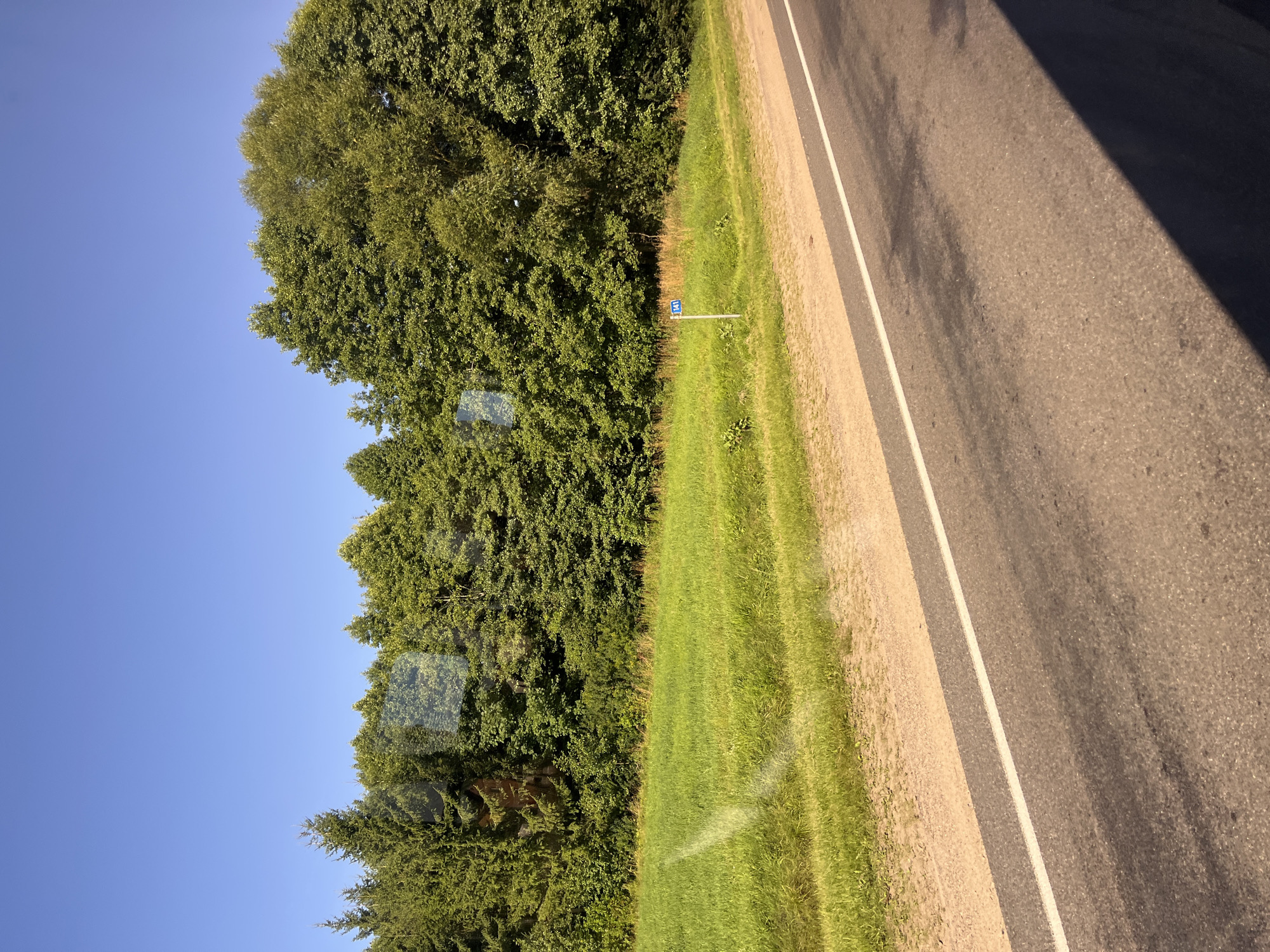 The image shows a roadside view with a clear blue sky and a dense line of green trees on the left. A bright green grassy field runs alongside the trees. In the foreground, there is an asphalt road with a white line marking its edge. A small blue sign with the number "141" in white is visible in the field, near the road. The scene suggests a rural or semi-rural setting, possibly on the outskirts of Myadzyel, Belarus, given the road sign with a numerical identifier common in such locations.