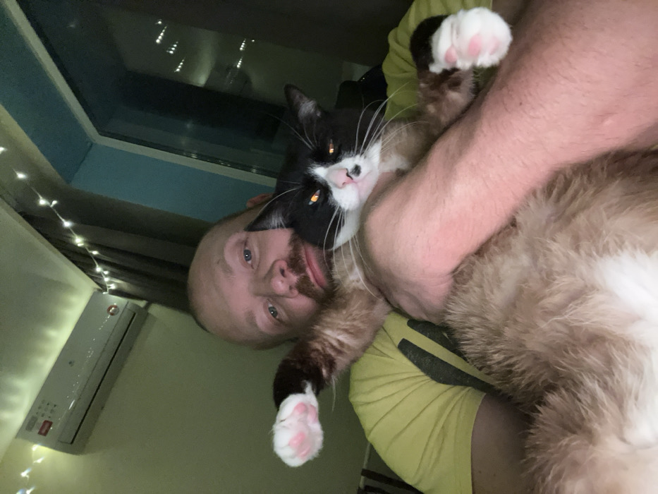 A bald man with a beard is holding a large cat. The cat is mostly tan, with some black and white markings on its face and paws. The man is wearing a yellow t-shirt. The background includes a window with a blue frame, some string lights, and an air conditioning unit. The photo is taken from a low angle and is slightly blurry.