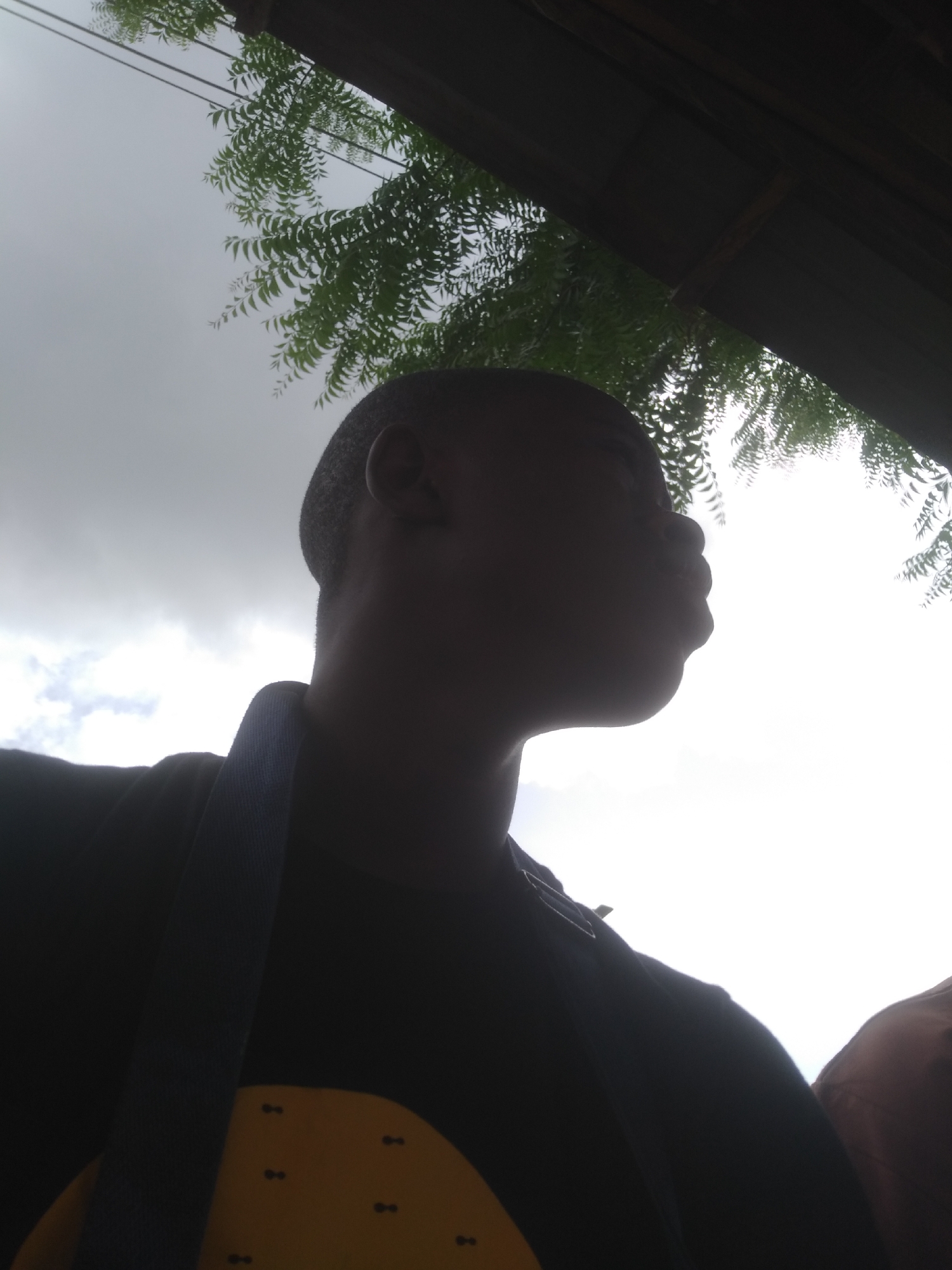 The image shows a person in silhouette, looking upwards and to the right. Above and to the right of the person is foliage. To the right is a structure that appears to be constructed of wood. The sky is visible through the foliage. The location is Unknown, Unknown.